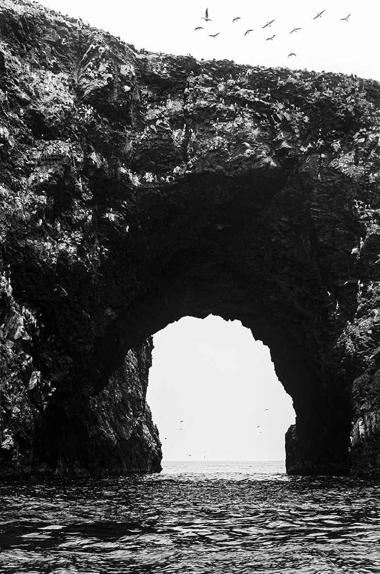 Escultura Natural del Tiempo / compra para descarga