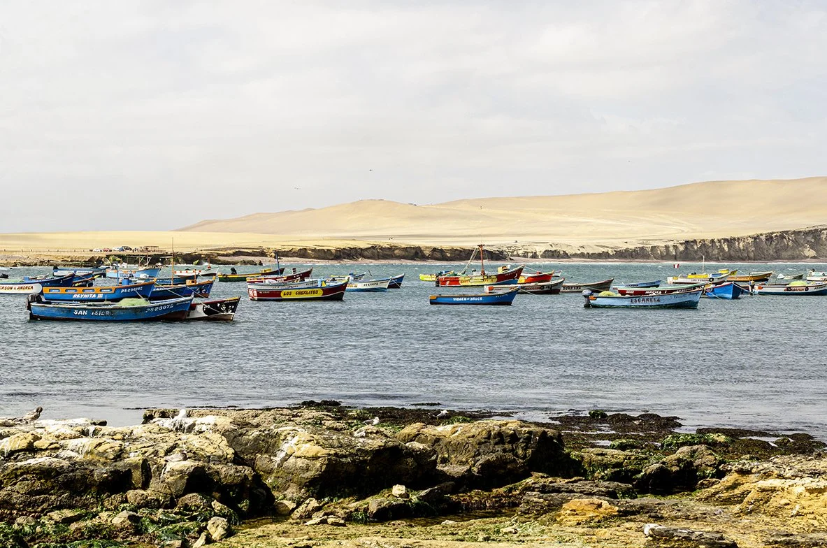 Descanso en la Bahía.jpg