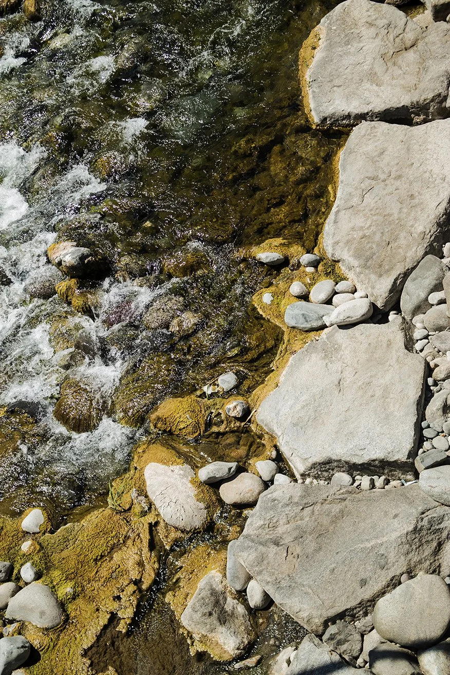 Texturas de Naturaleza / comprar para descarga