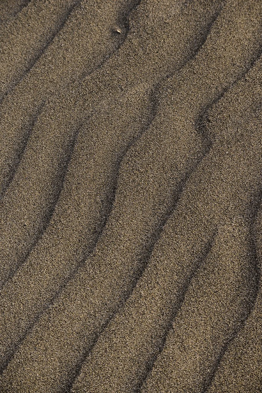 Ondas del viento.jpg