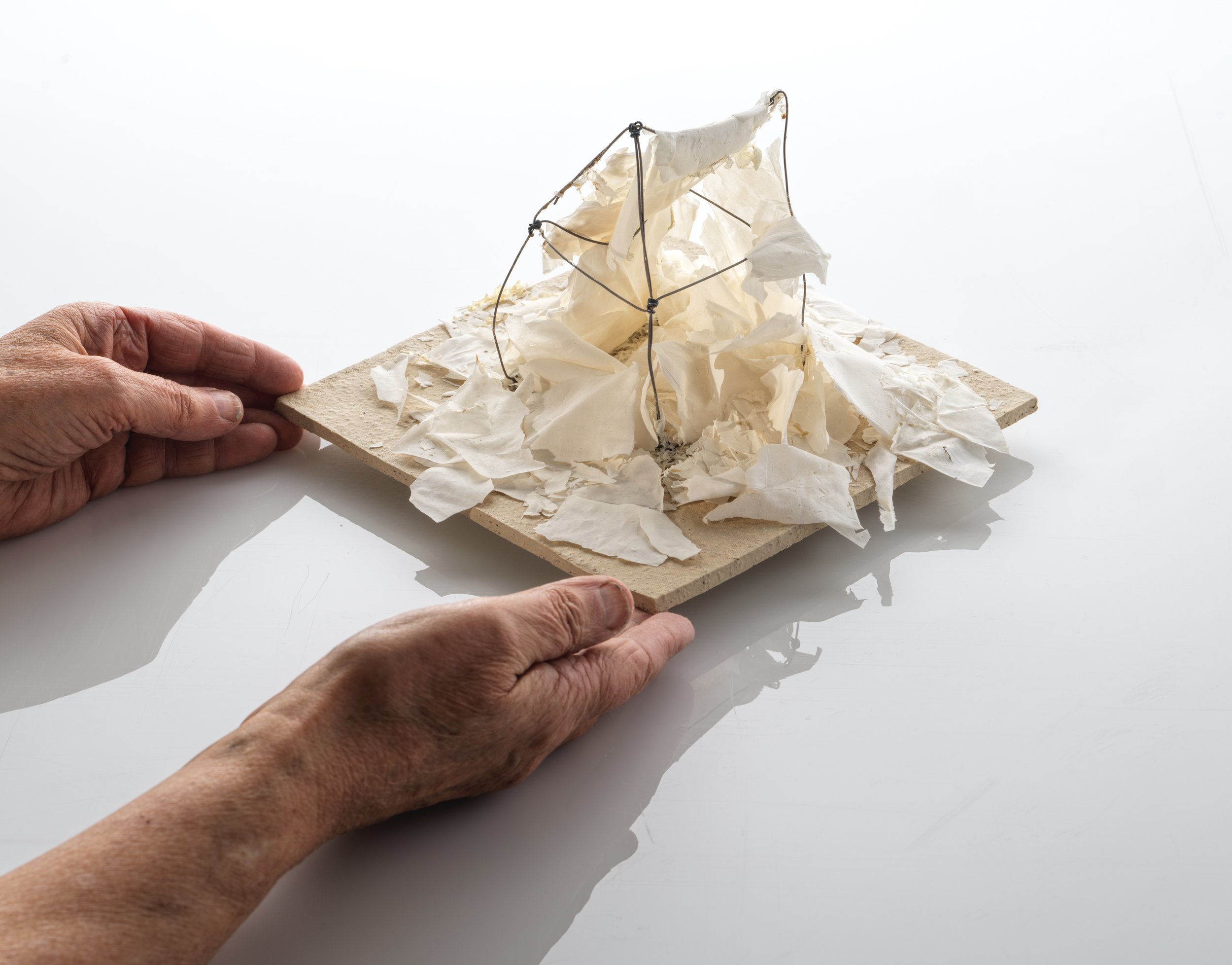 Hospital parking ND hands- (11D).jpg