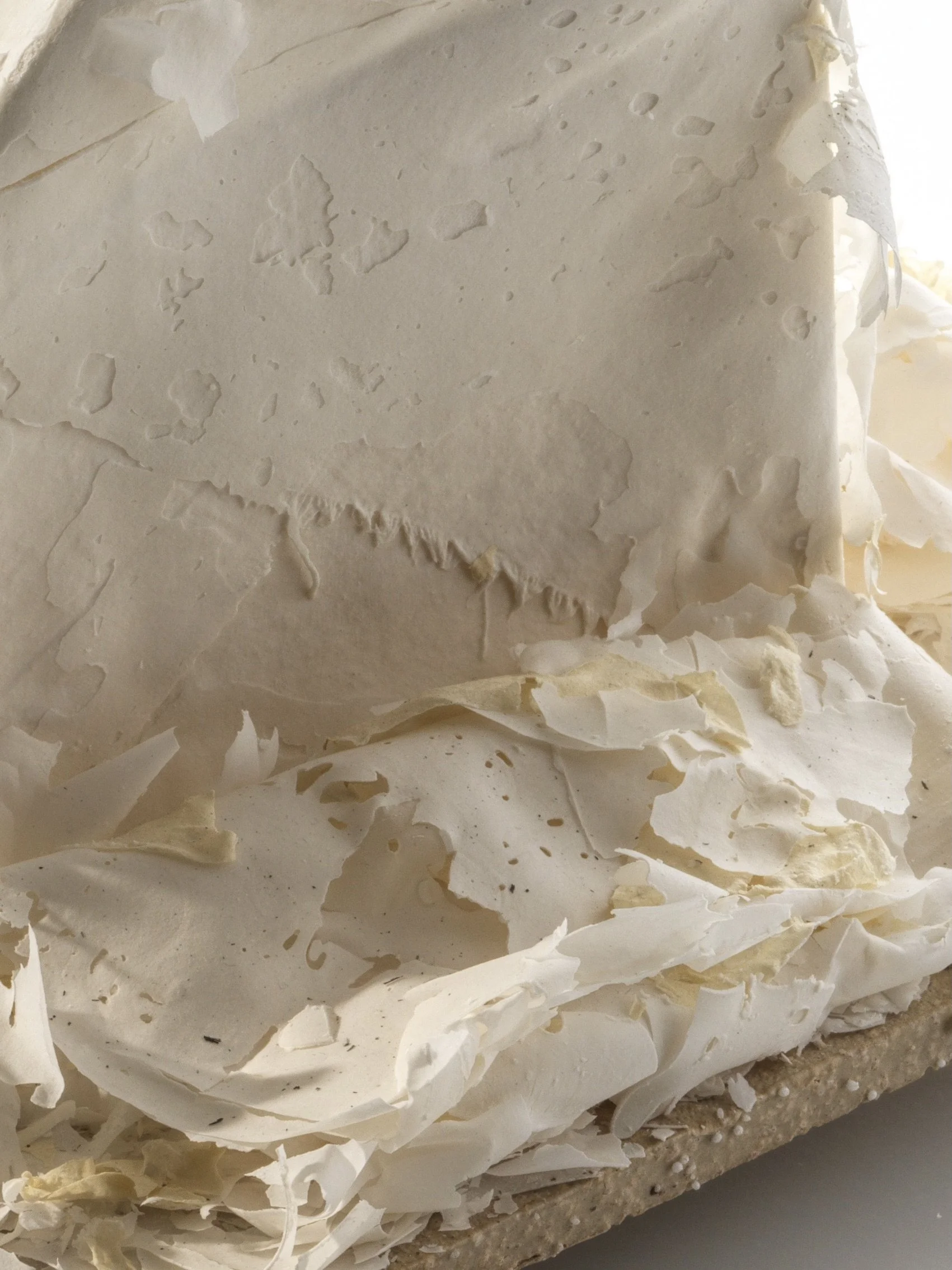 Jacquie-Follett-%2217th: vein%22 close up-25.jpeg