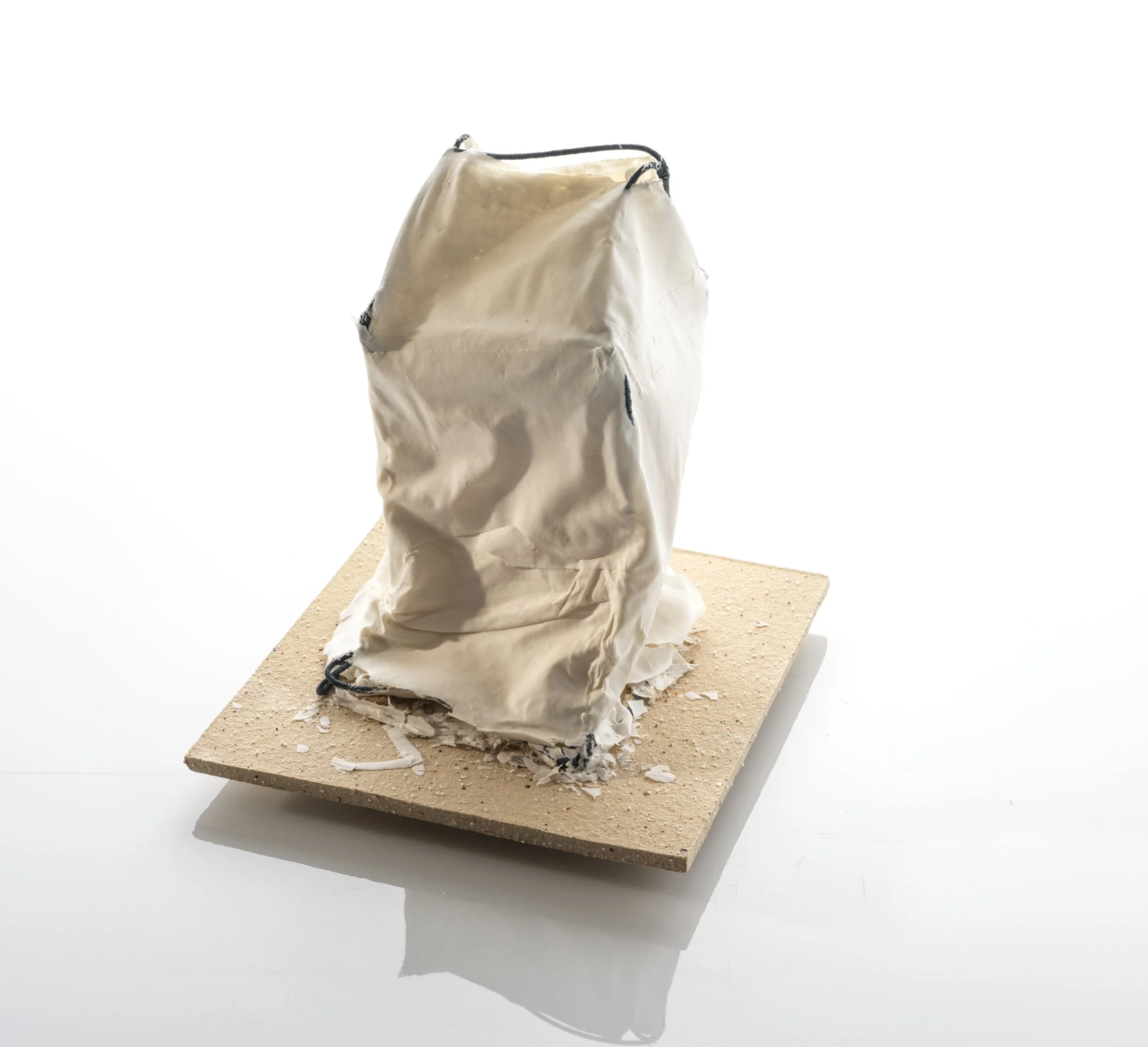 Veg patch - (45-2).jpg