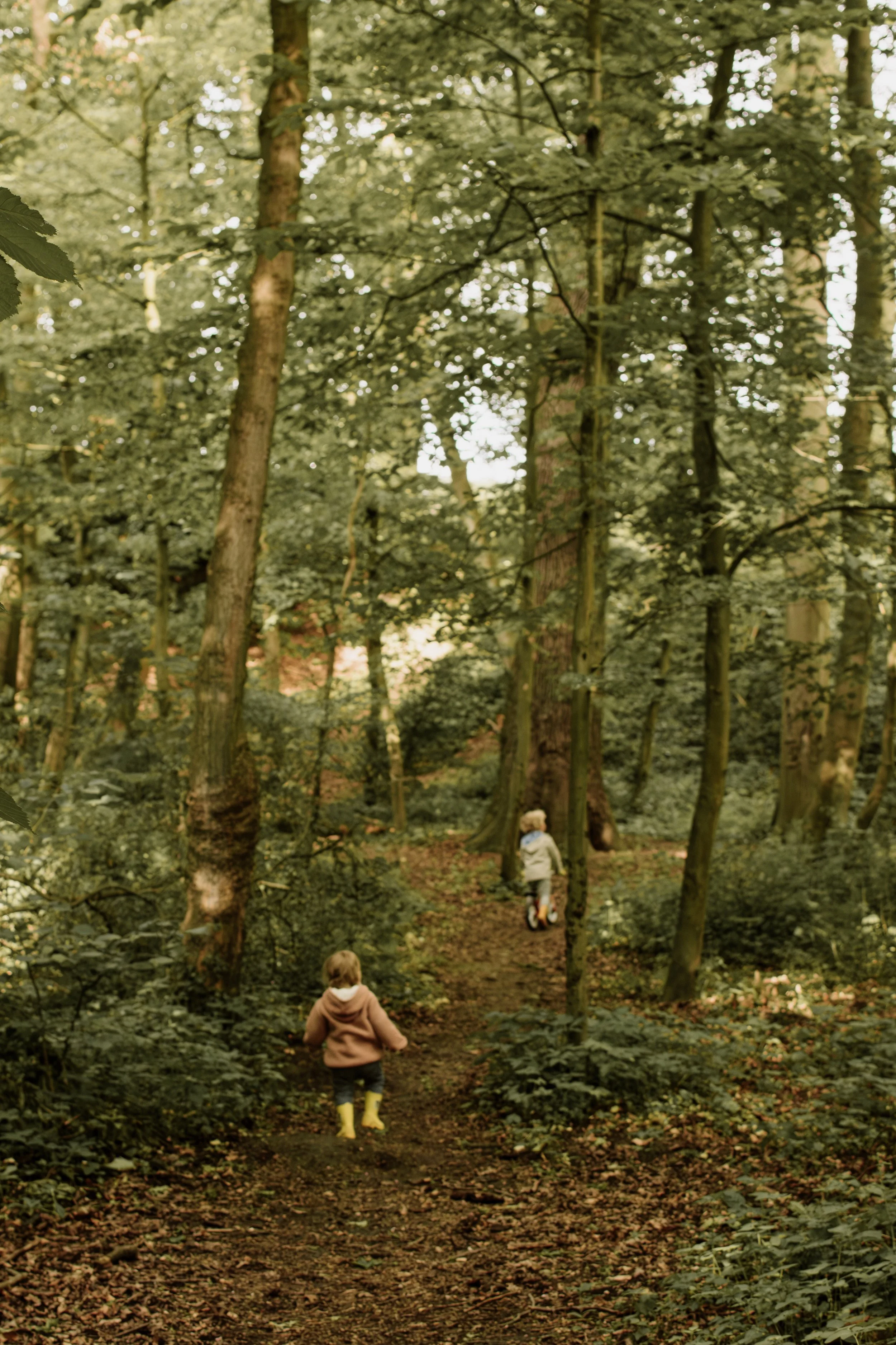 twee kinderen die door een bos wandelen