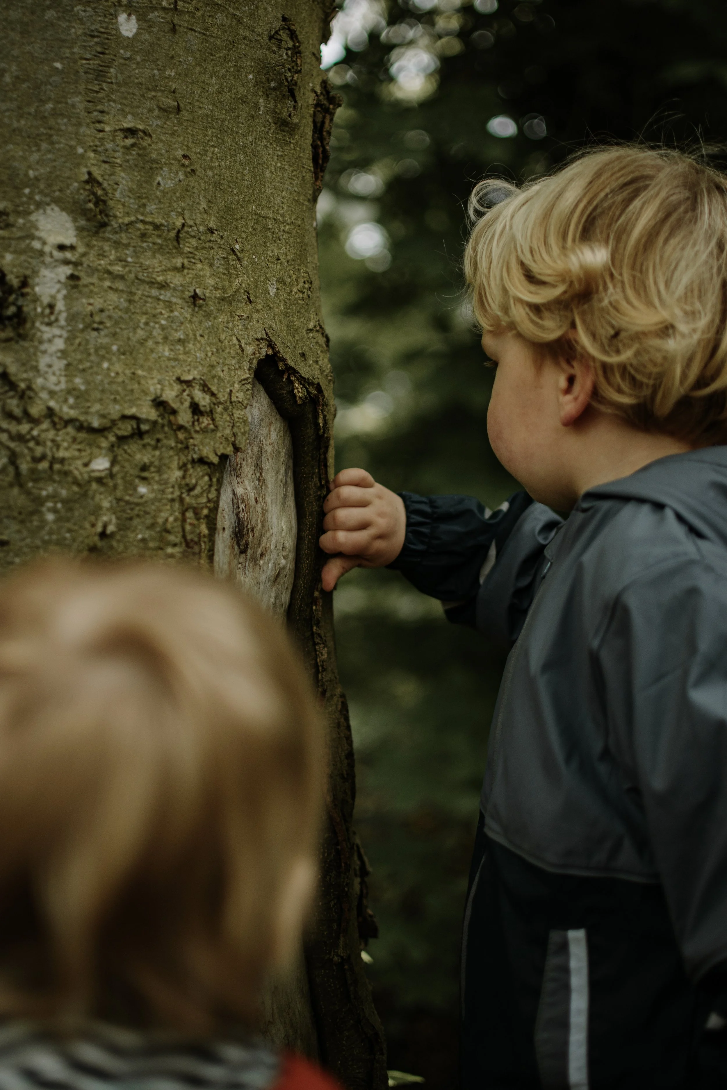 Kind kijkt naar boom met insecten of bessen in een bosomgeving.