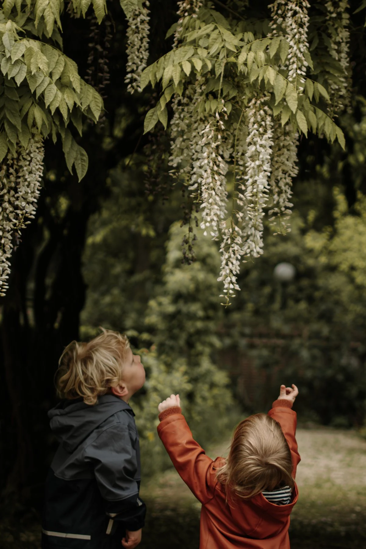 Gezinsshoot in Kasteeltuin Neerijnen vlakbij Neerijnse Bos