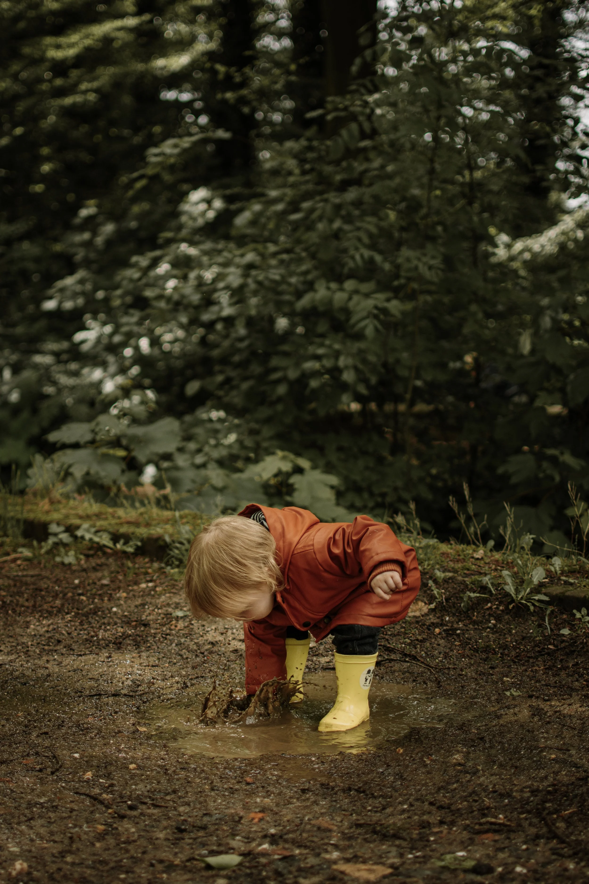 Neerijnse bos- gezinsfotoshoot
