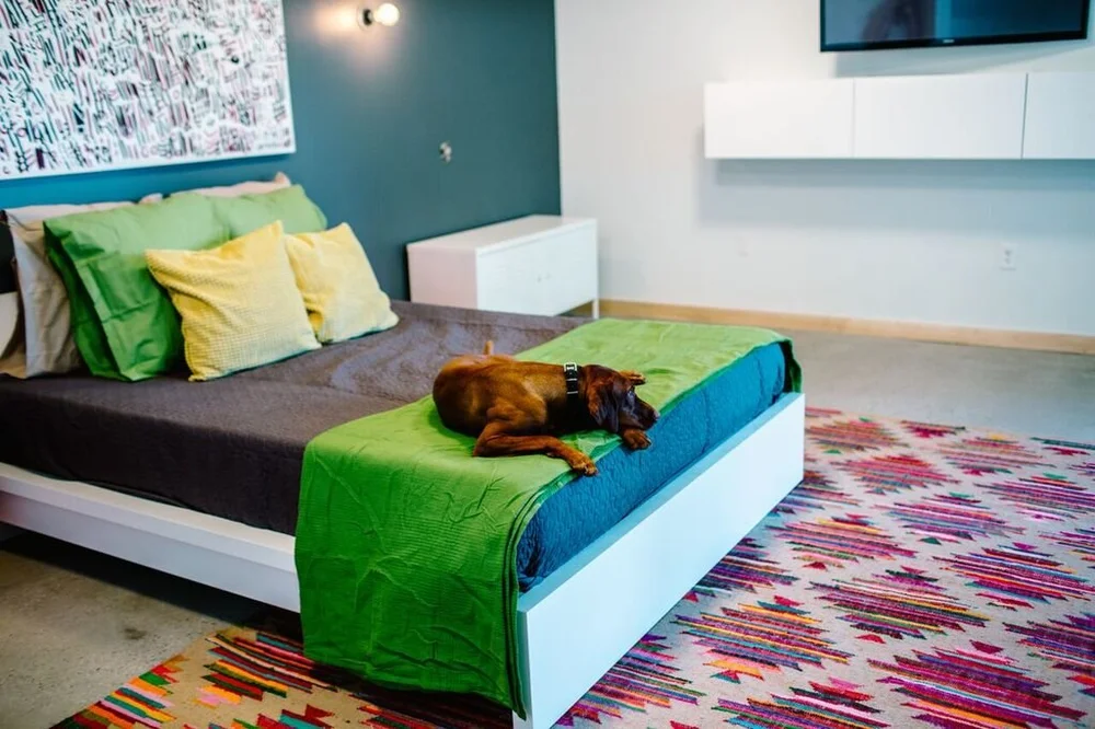 Unleashed Dog Hotel | Book Your Dog's Stay Today