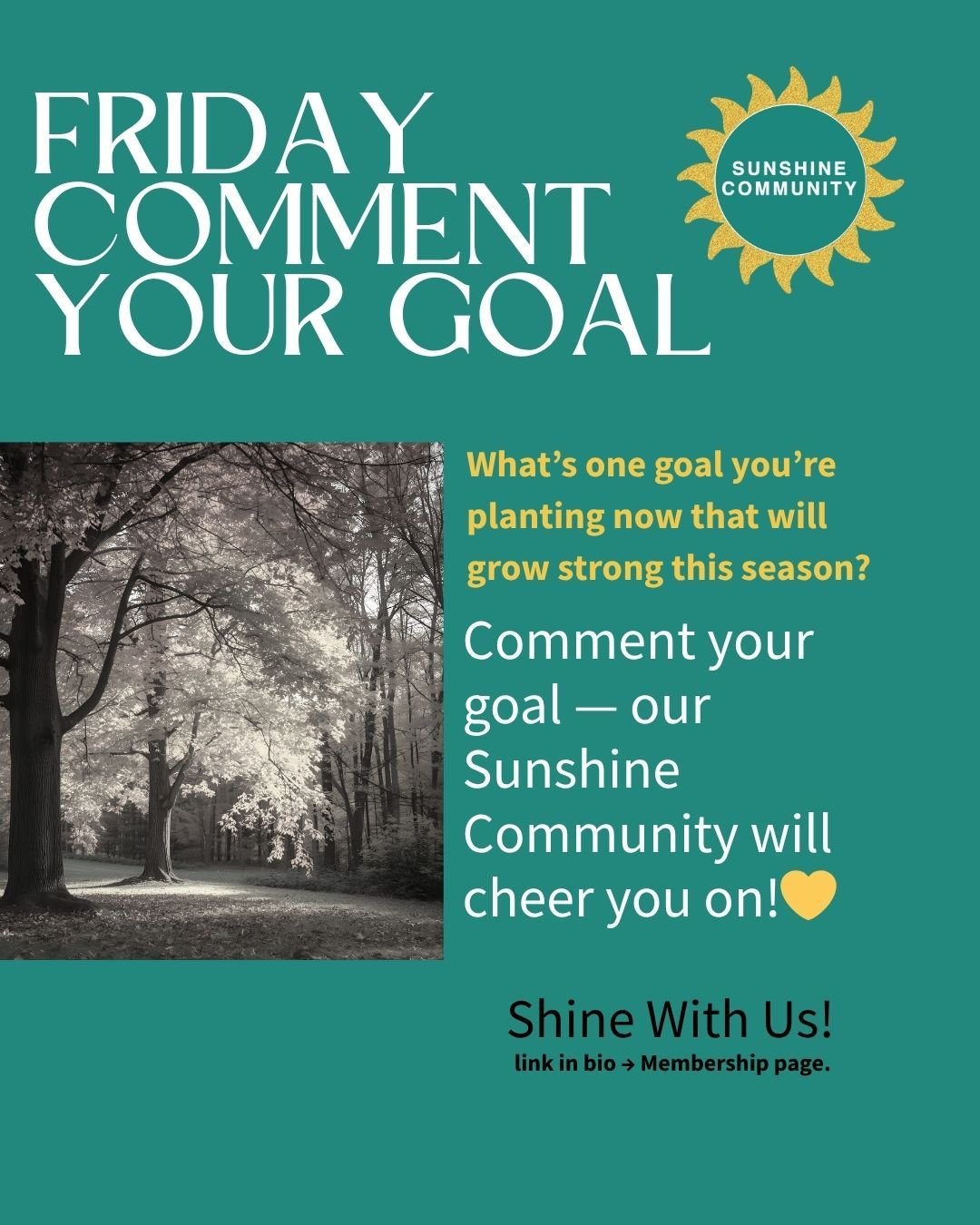 Thursday Question

&quot;Like the trees in fall, I am rooted, radiant, and ready for renewal.&quot; - sunshine quote

What's one goal you're planting now that will grow strong this season?

Comment your goal - our Sunshine Community will cheer you on