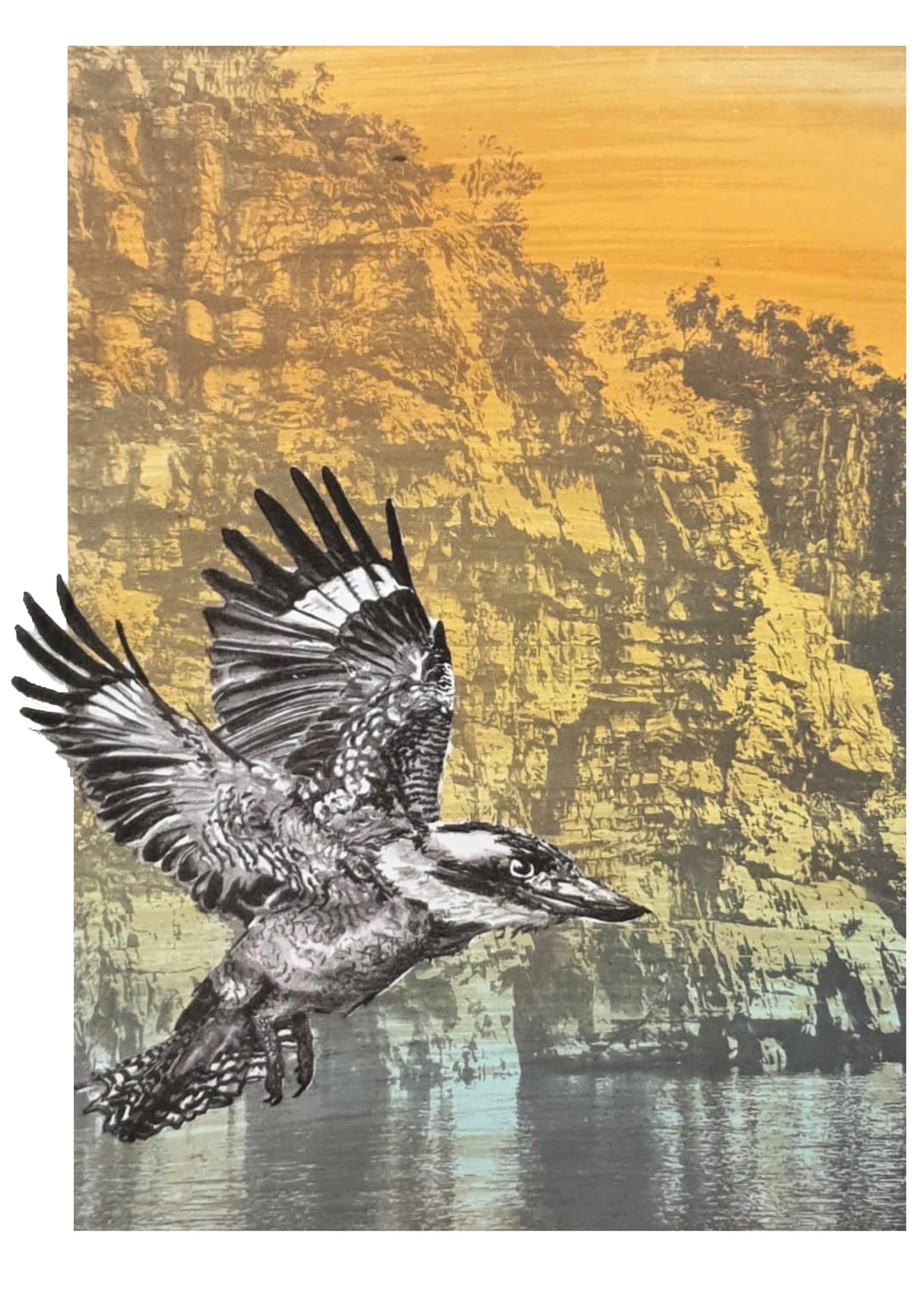 Flight Over Katherine