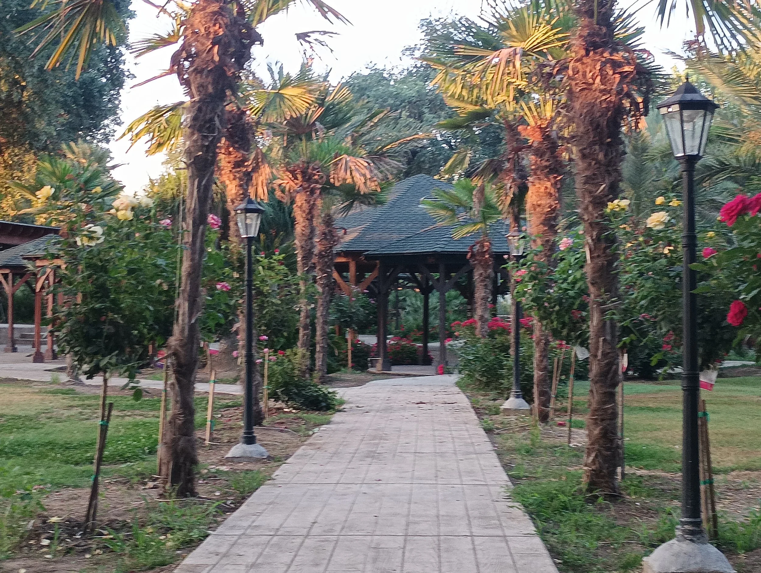 A paved walkway lined with lampposts and young trees leading to a gazebo in a garden with tall palm trees and blooming flowers.