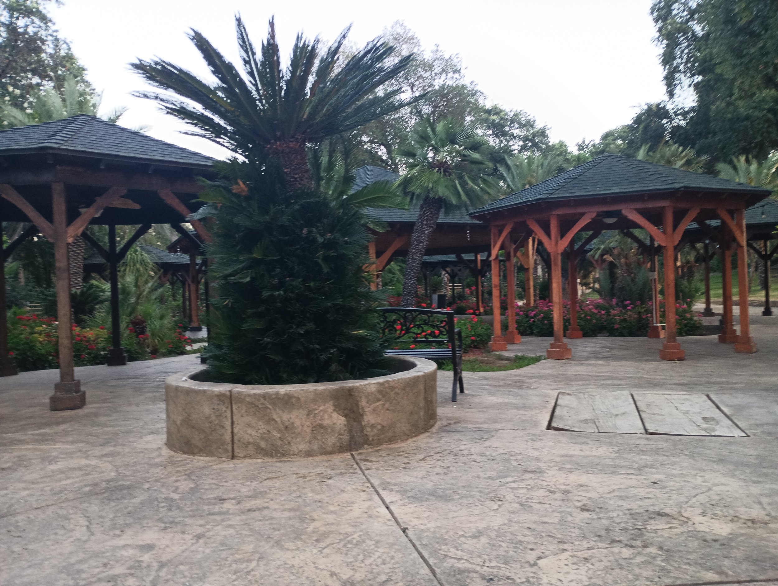 A park with multiple wooden gazebos, palm trees, flowering bushes, a bench, and paved walkways.