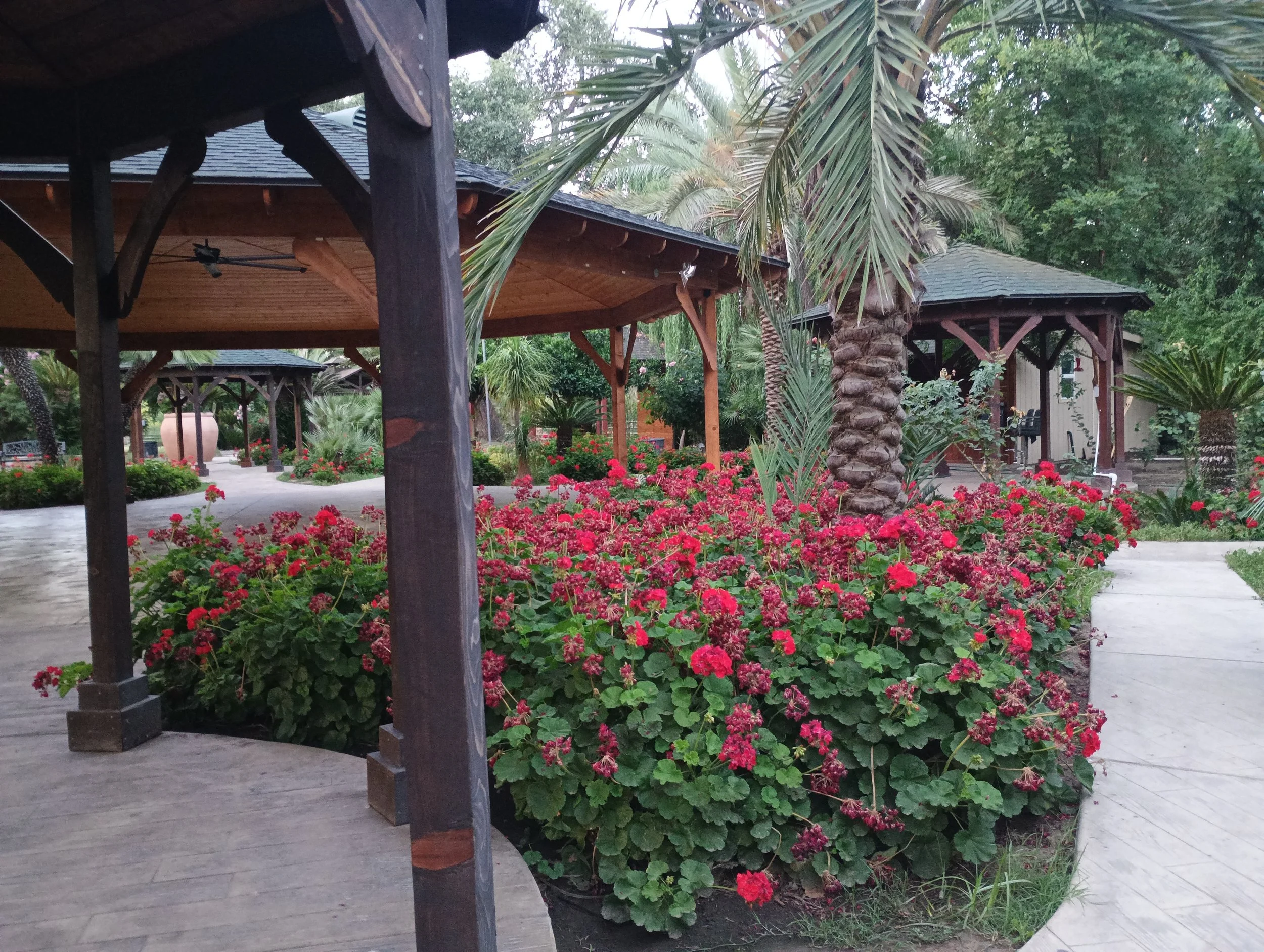 A garden area with wooden gazebos, palm trees, and vibrant pink flowers along a concrete pathway.