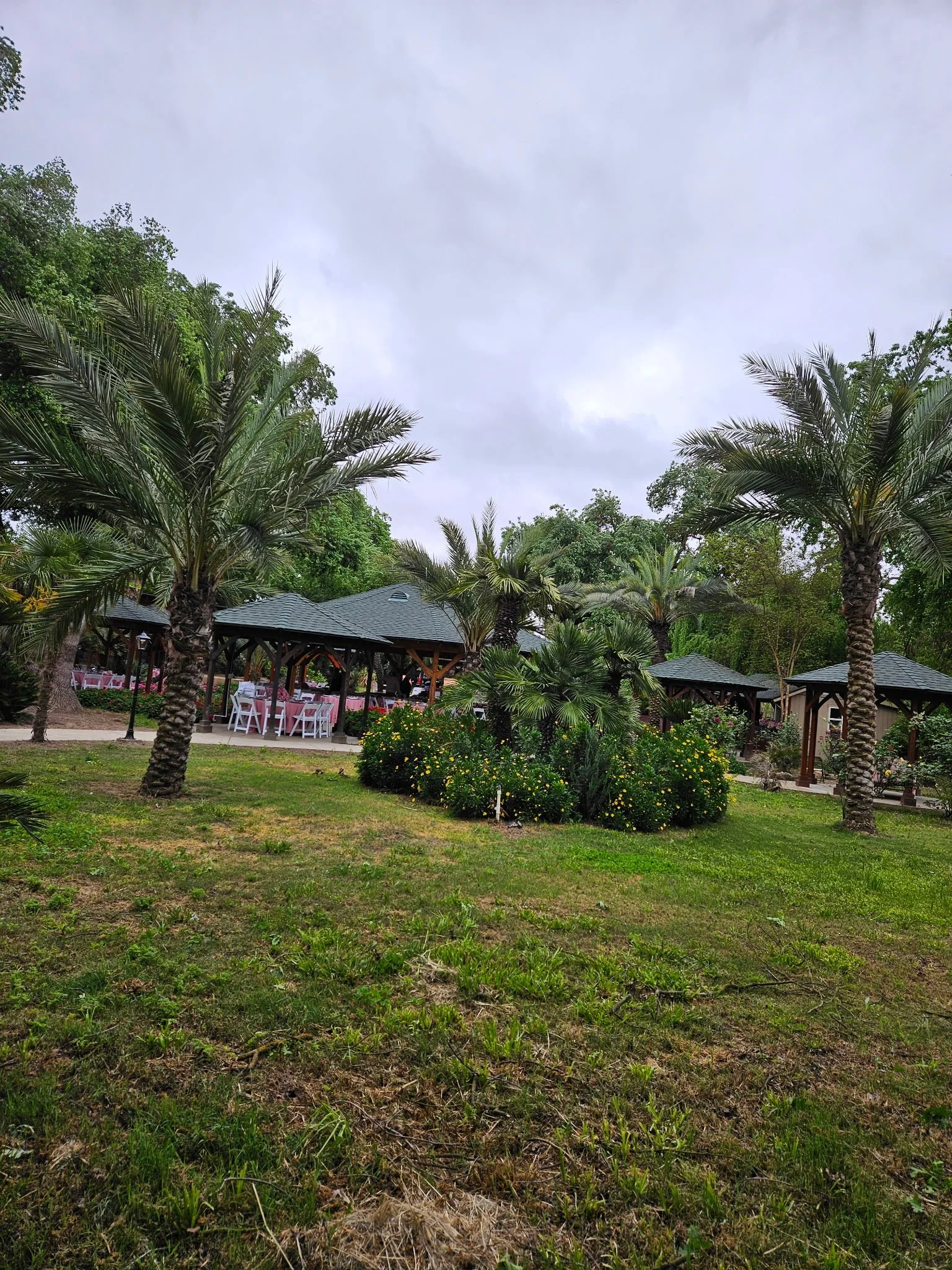Outdoor event space with palm trees, gazebos, and tables with pink tablecloths and white chairs on a cloudy day.