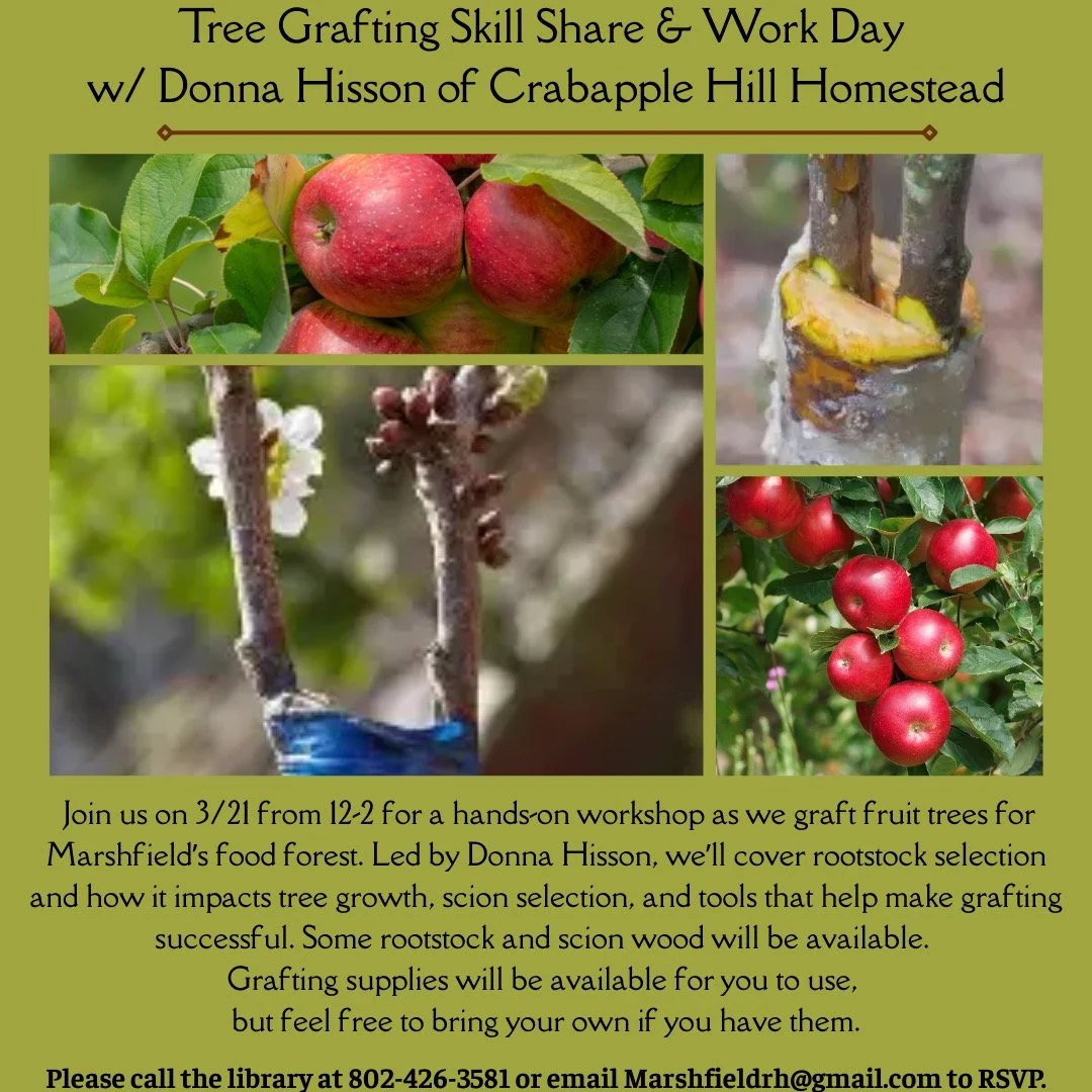 If you&rsquo;ve wanted to learn how to graft fruit trees, join us on 3/21 from 12-2 for a hands-on workshop as we graft fruit trees for Marshfield&rsquo;s food forest. Led by Donna Hisson of Crabapple Hill Homestead, we&rsquo;ll cover rootstock selec