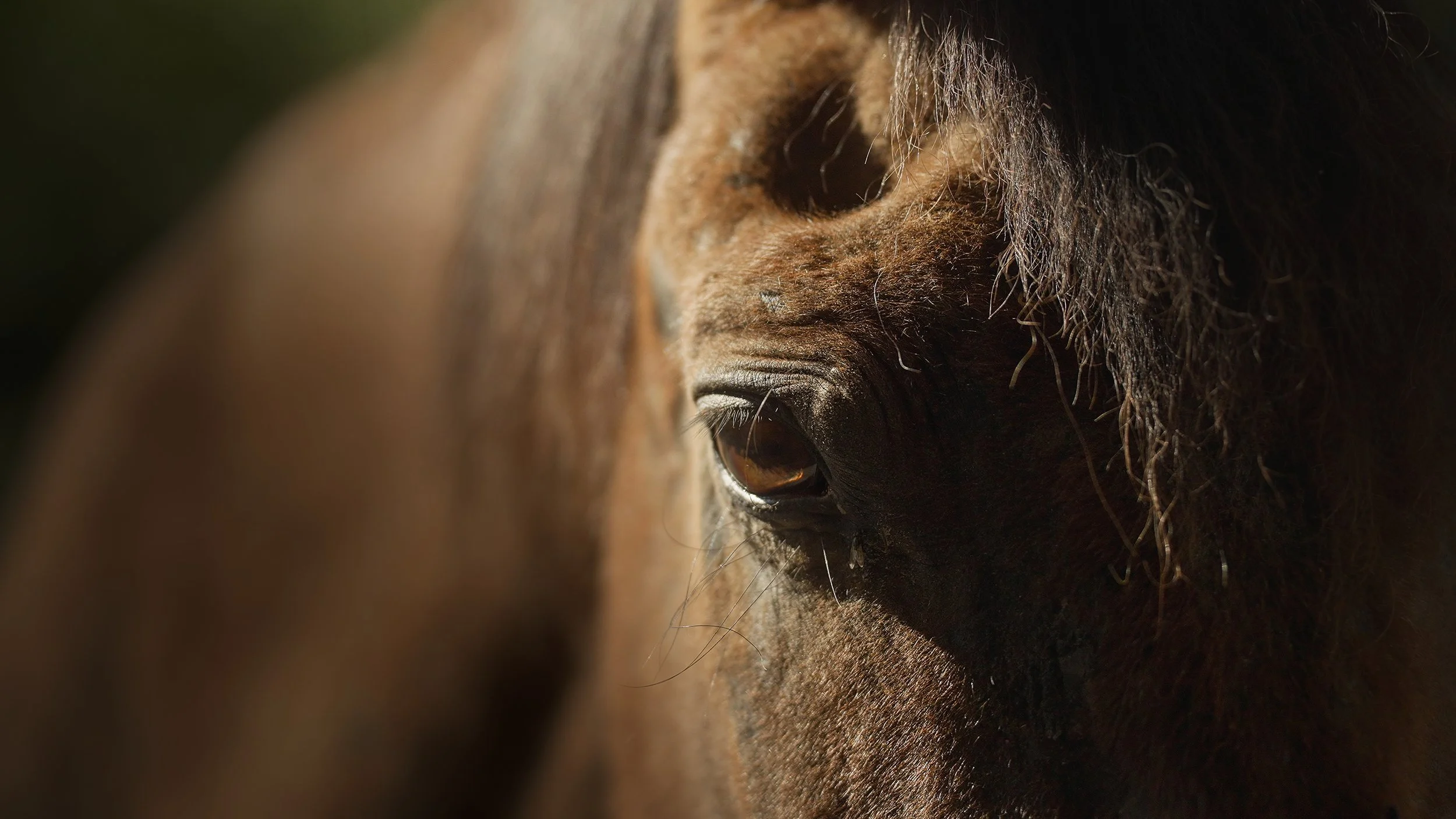 Still 2025-09-20 153045_1.2.1 (1).jpg