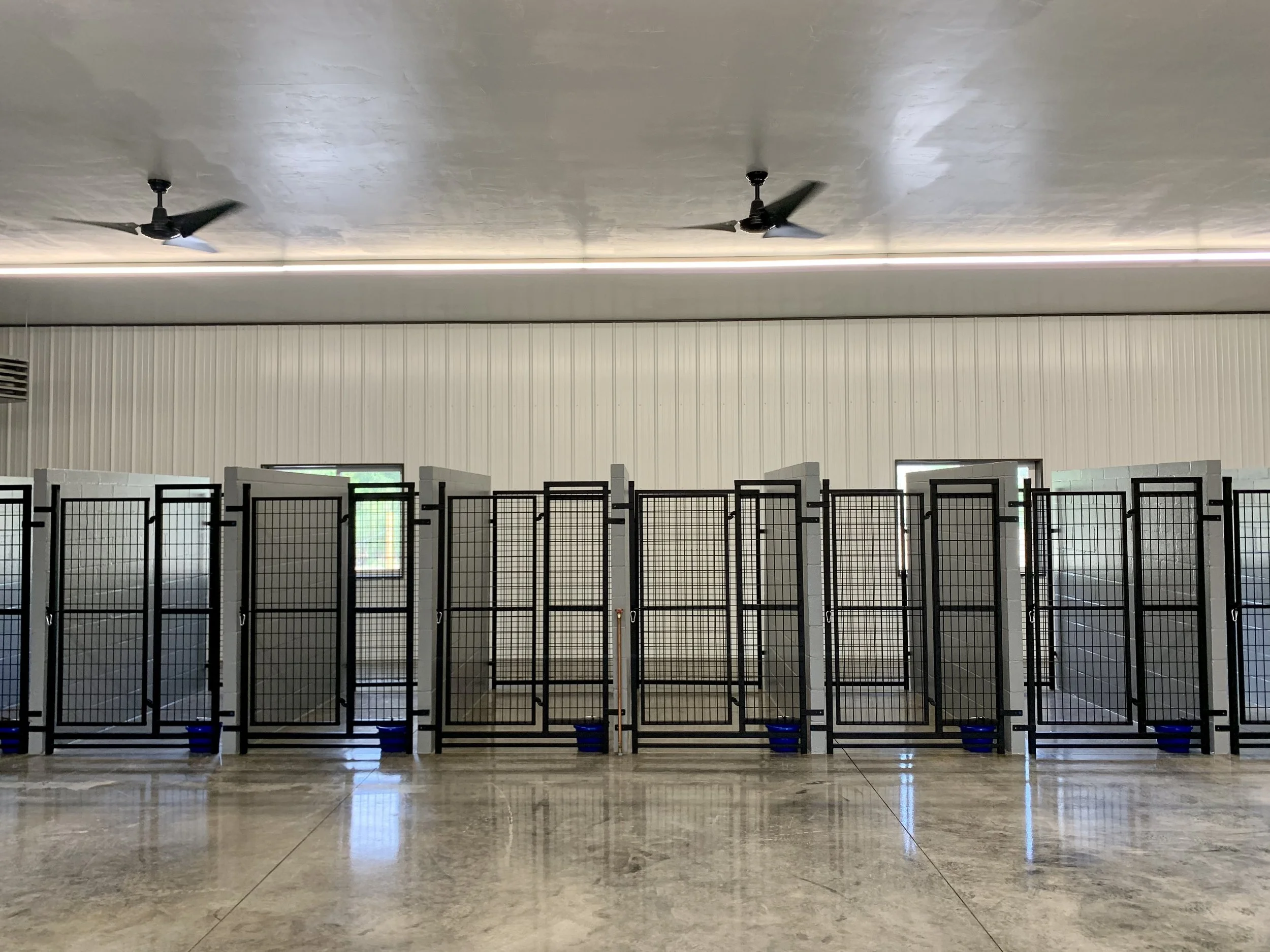 Kennel4.jpeg