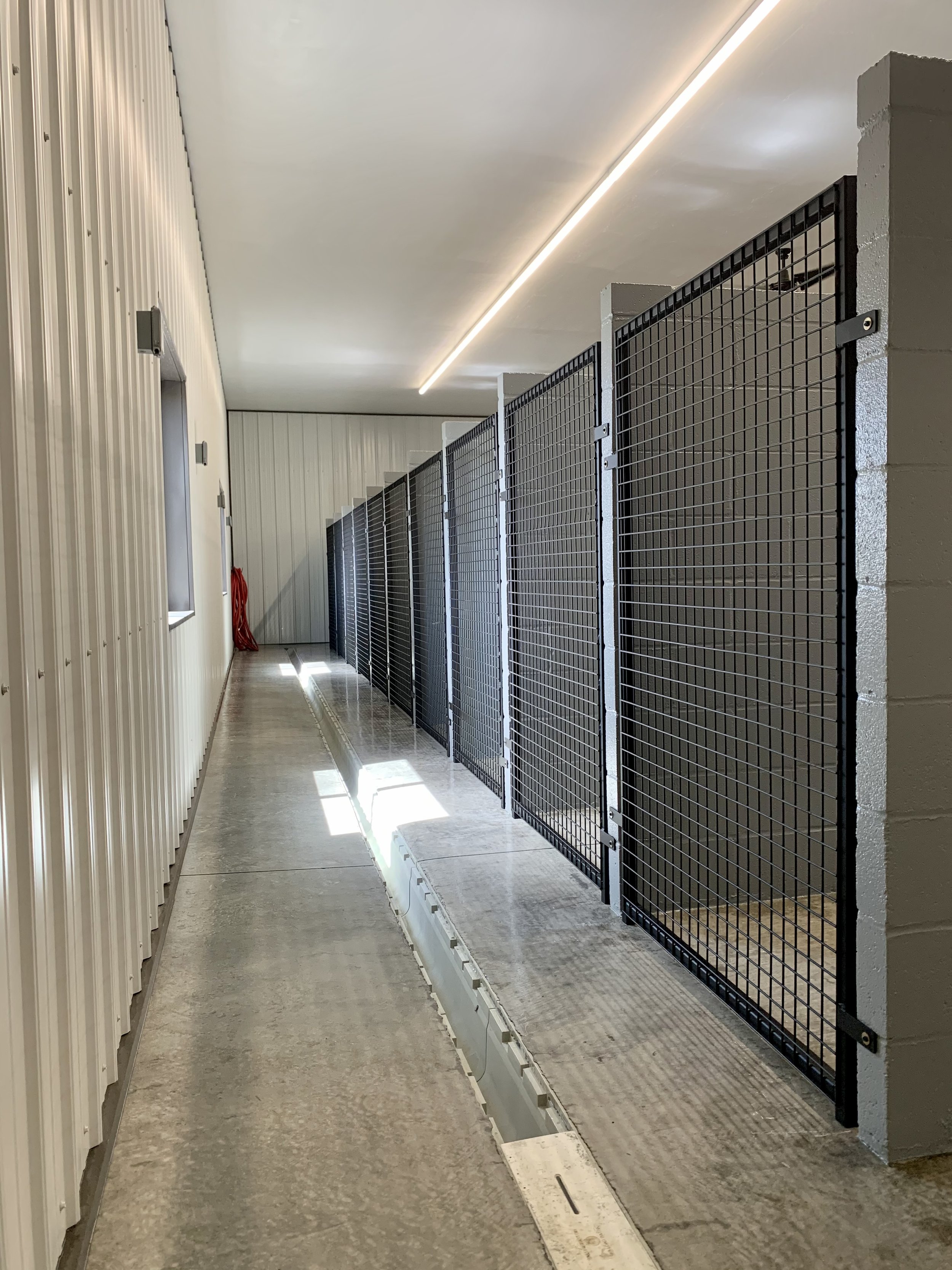 Kennel5.jpeg
