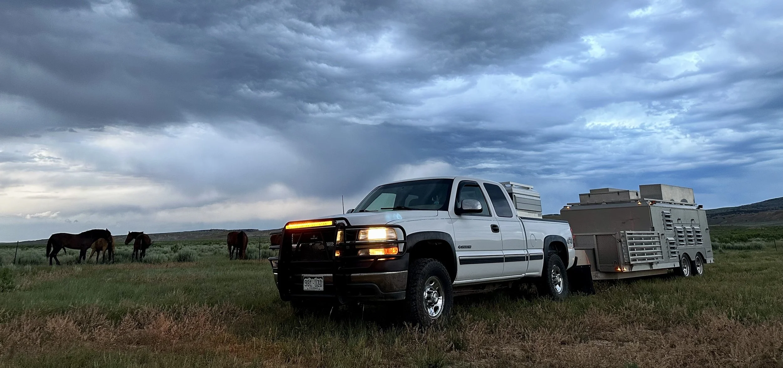 White Lightning.jpeg