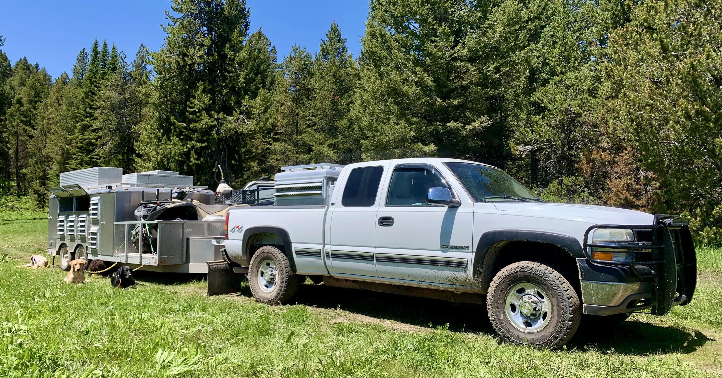 White Lightning2.jpeg