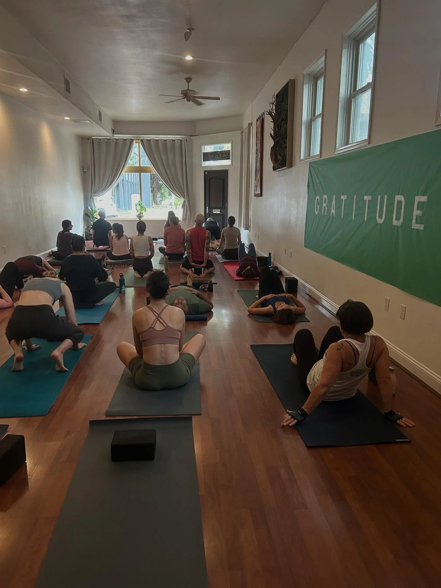 GRATITUDE LIST 🦢

1. Space to practice 
2. Jeff is back after 2 months of travel 🌟
3. Aaron &amp; Bree we ❤️you and blessings on your next chapter.
4. Moonrise 
5. Gabriel practicing 🏹
6. Our amazing programs 🙌🏻
7. Our amazing retreats ✈️ 
8. Sa