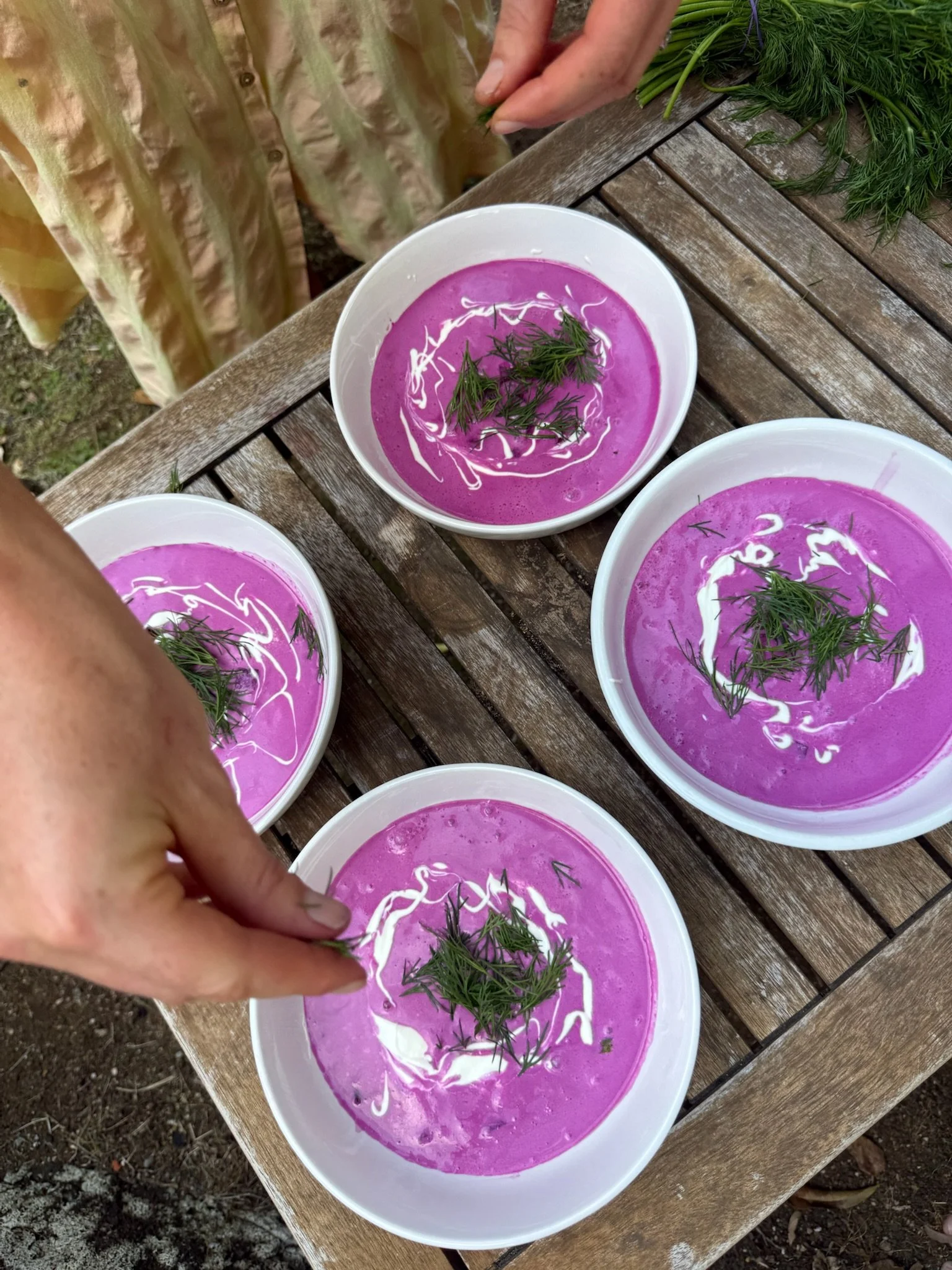 Bowls of chilled pink beet soup with a swirl of cream and fresh dill being served