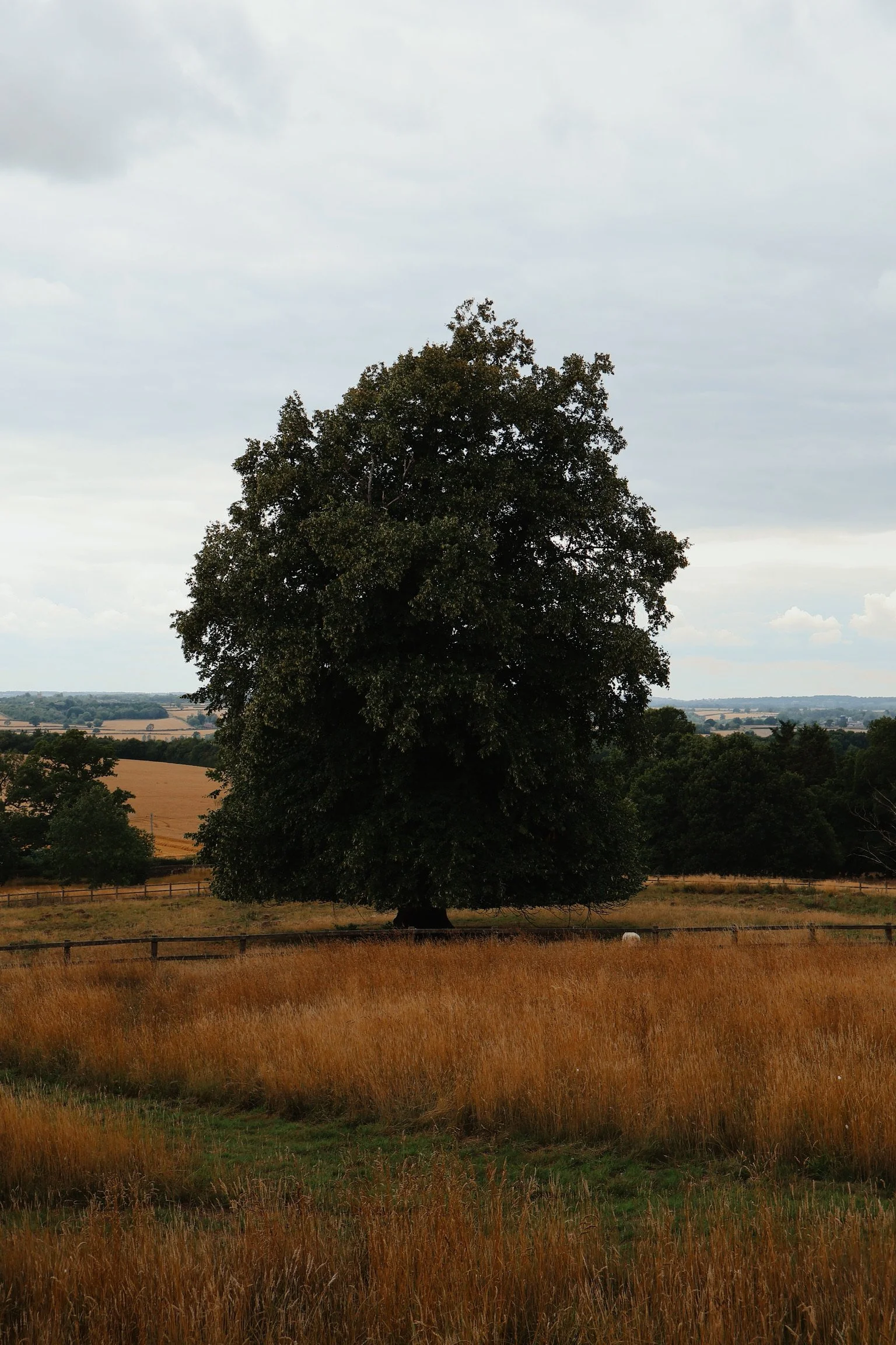 RH England Exterior Shot