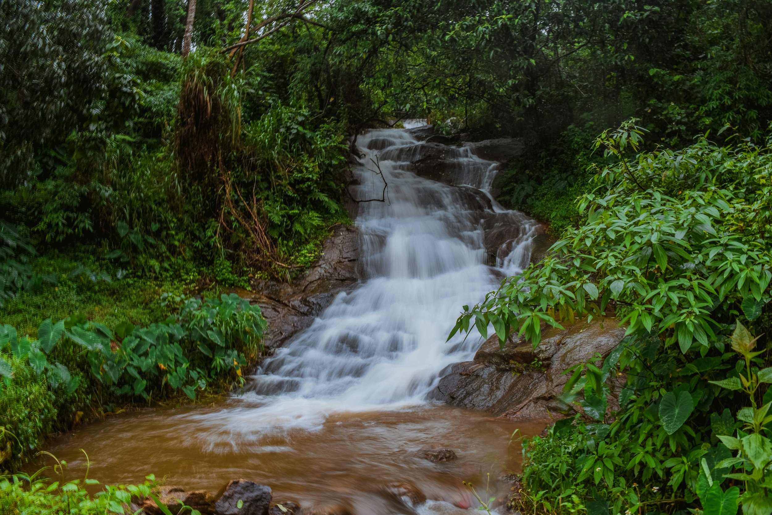 therapy intensives tampa