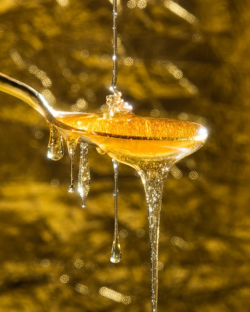 Honey Test Shoot15476-Edit.jpg