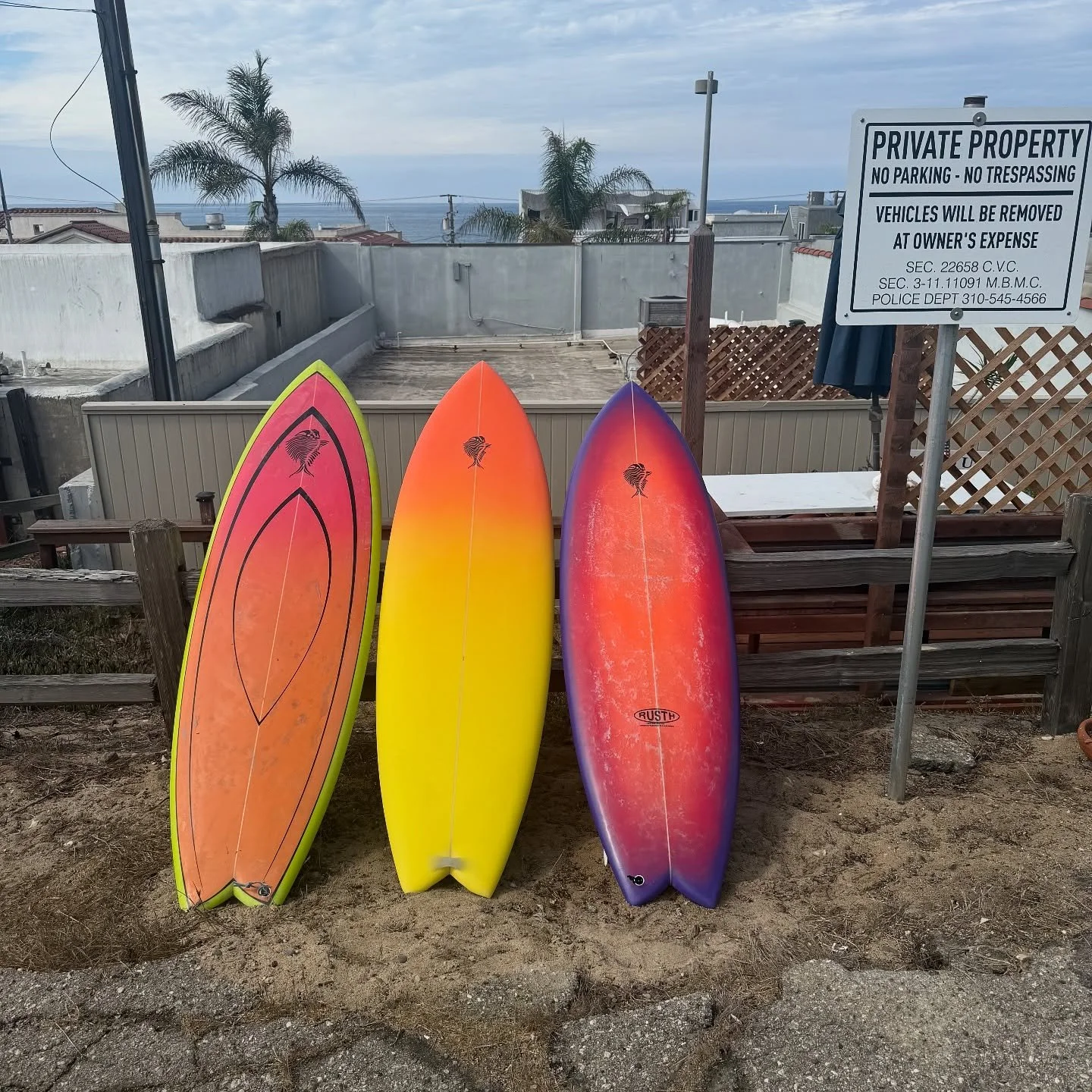 Chubby Grouper&rsquo;s the addictions real ! @richardrusth