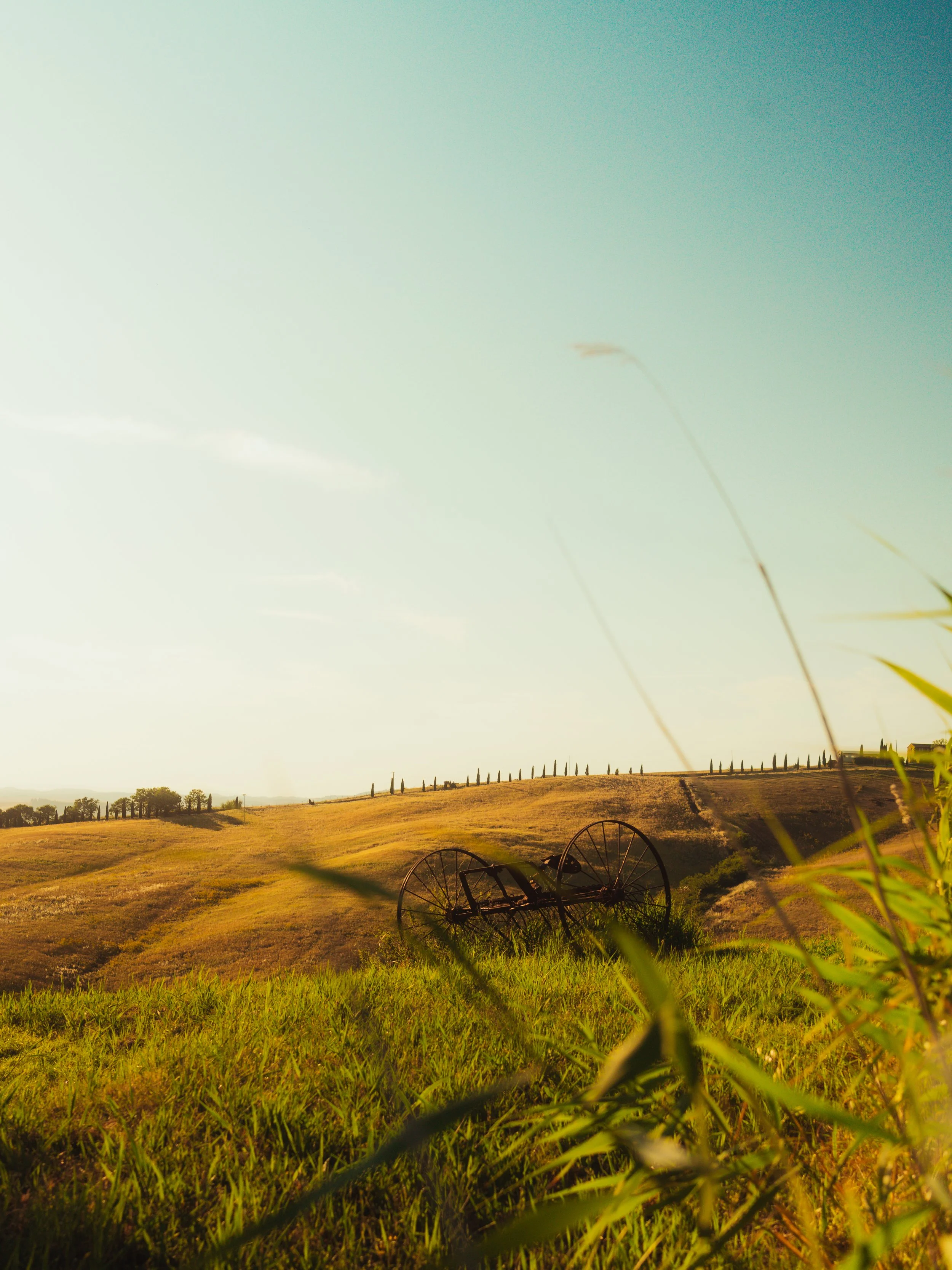 A scenic landscape of rolling hills with fields and scattered trees under a clear sky, with an old farm implement in the foreground.