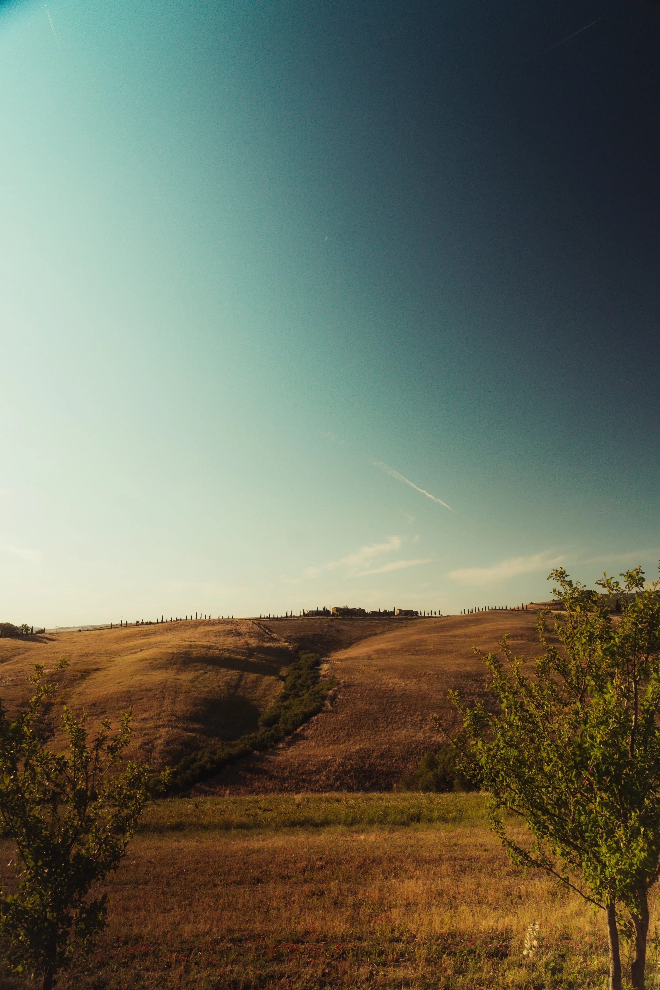 A landscape of rolling hills with dry grass, scattered bushes, and a few trees in the foreground, under a sky that transitions from light to dark blue with some clouds and jet trails.