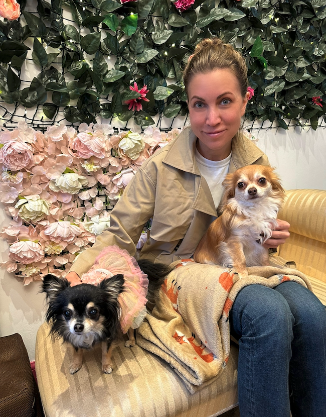 A smiling woman on a couch with two chihuahuas.