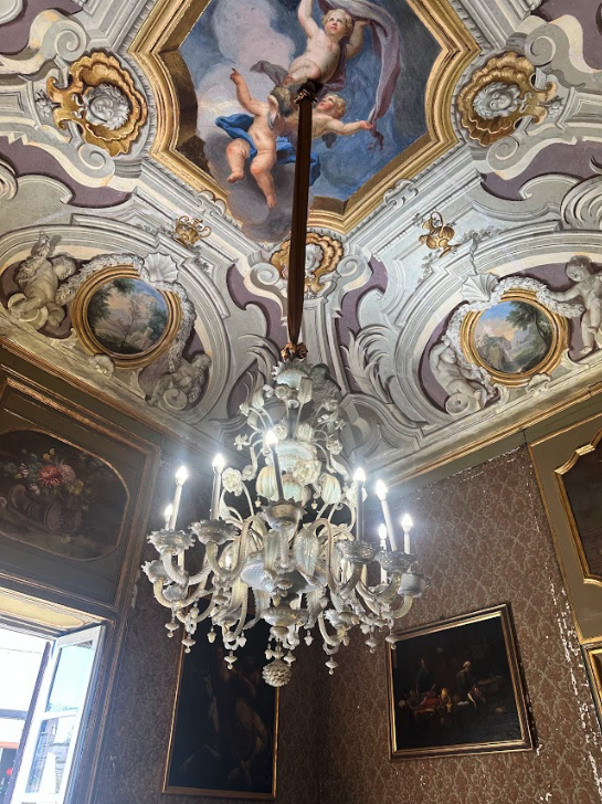 A ceiling in a palace with a flour de lis meant to look three-dimensional, and a white electric chandelier.