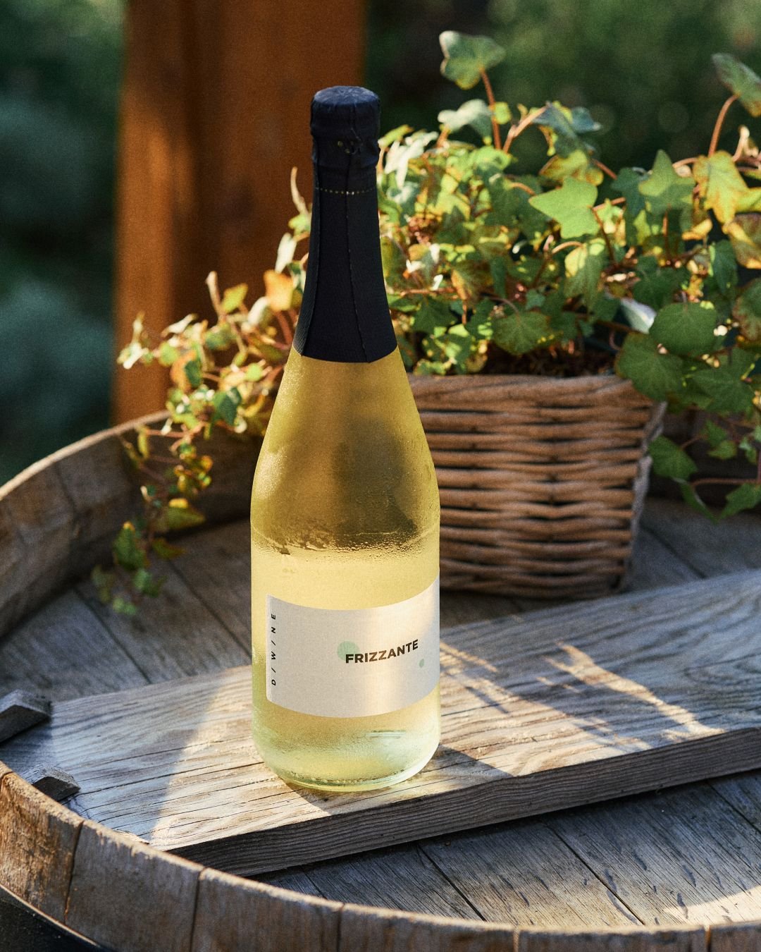 frizzante 2024 zahrada.jpg