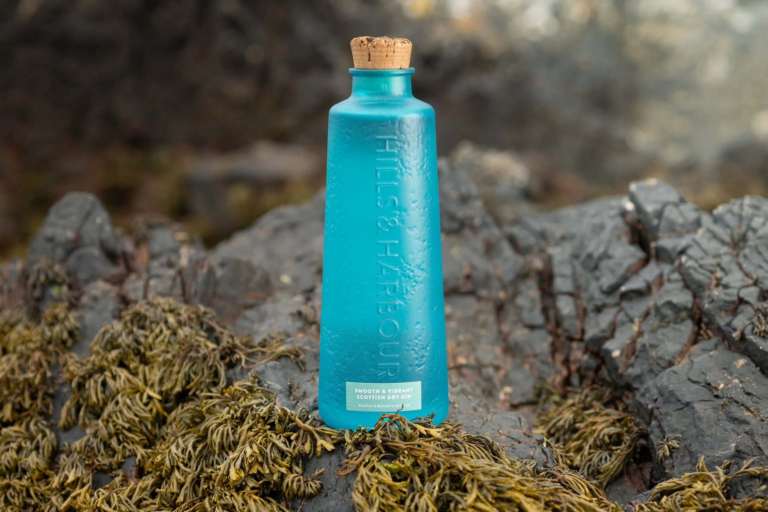 A bottle of Hills and Harbour Gin on the rocks at the seaside surrounded by seaweed