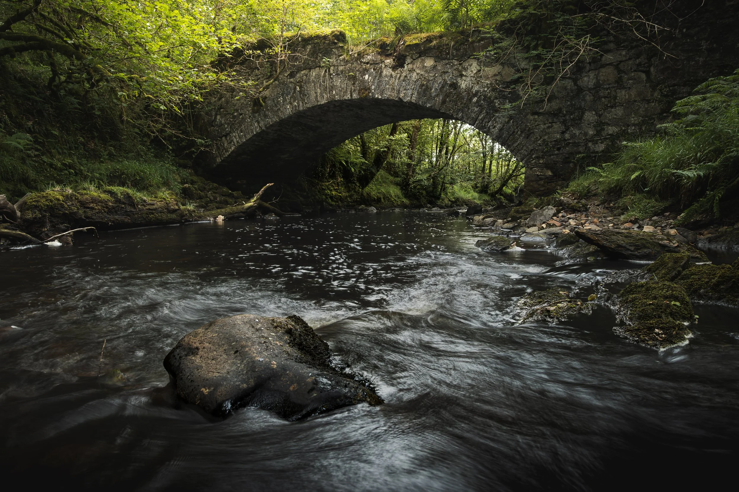 the forgotten bridge v5.jpg