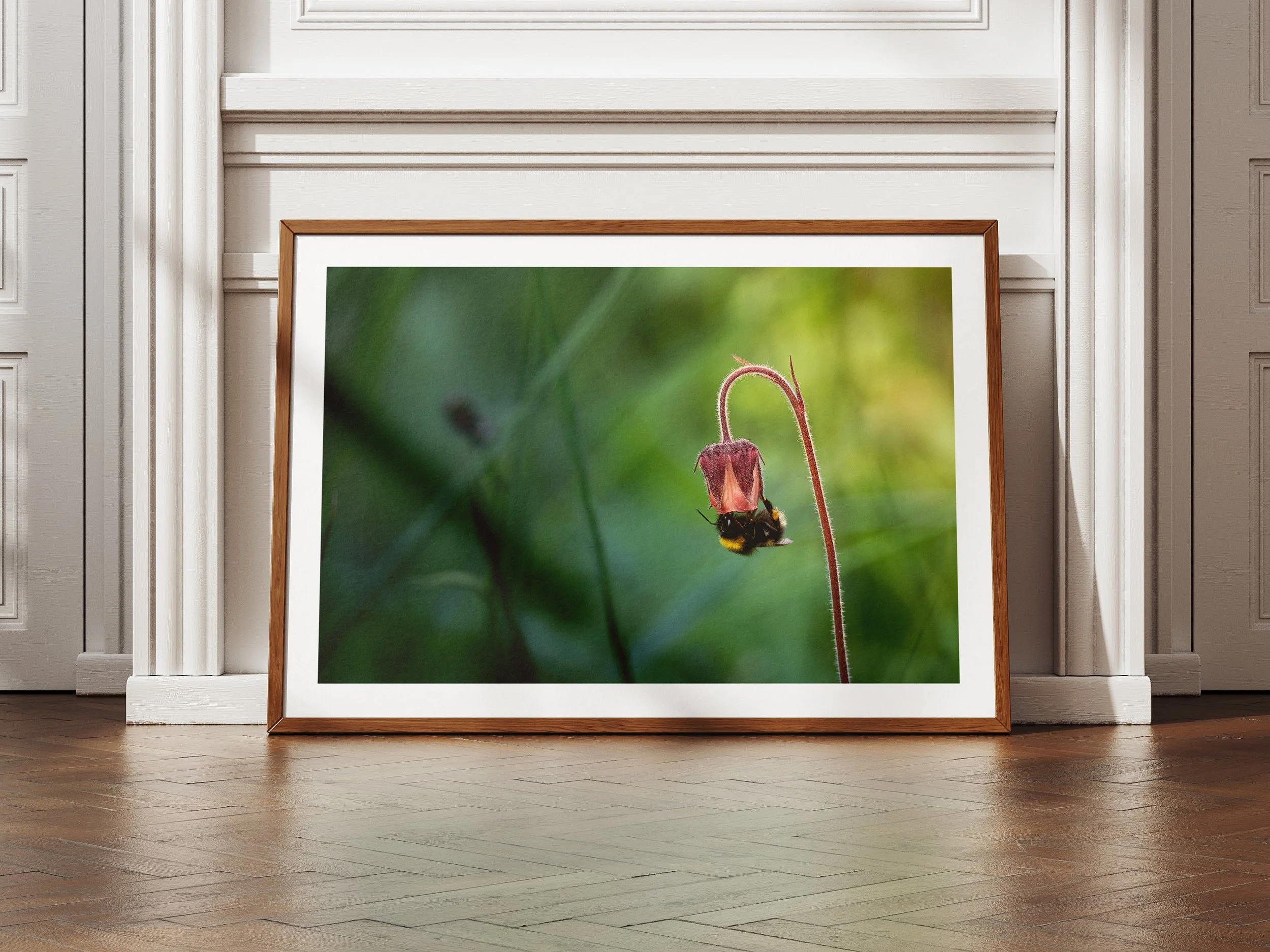 Framed picture of a bee foraging in the forest