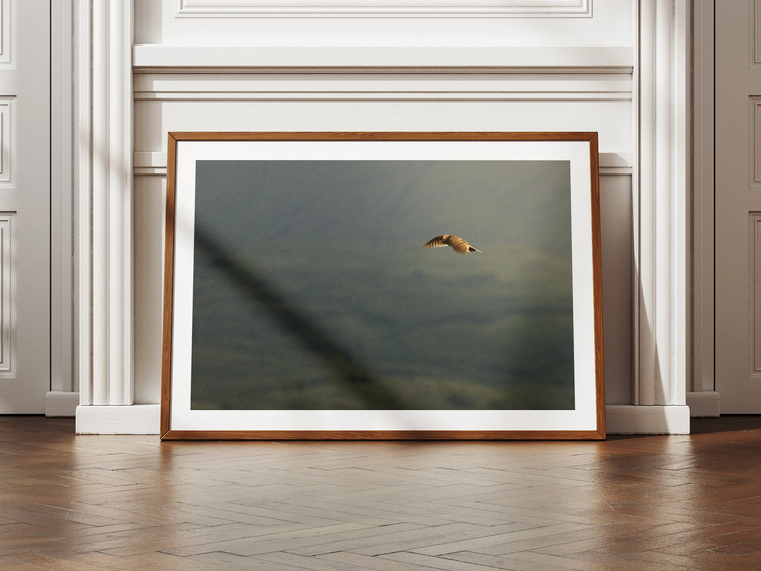 A framed picture of a meadow pipit in flight