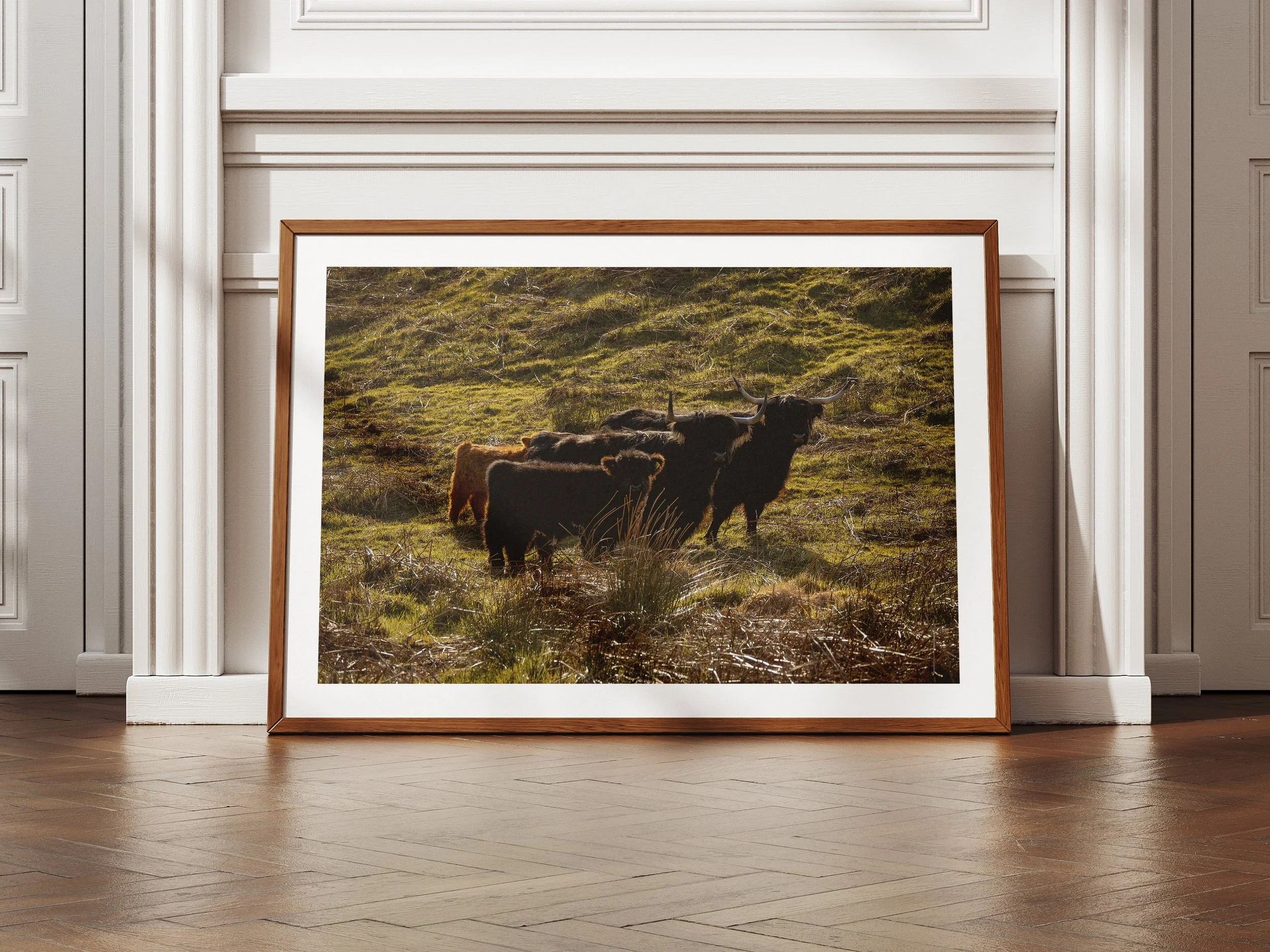cows-mockup.jpg