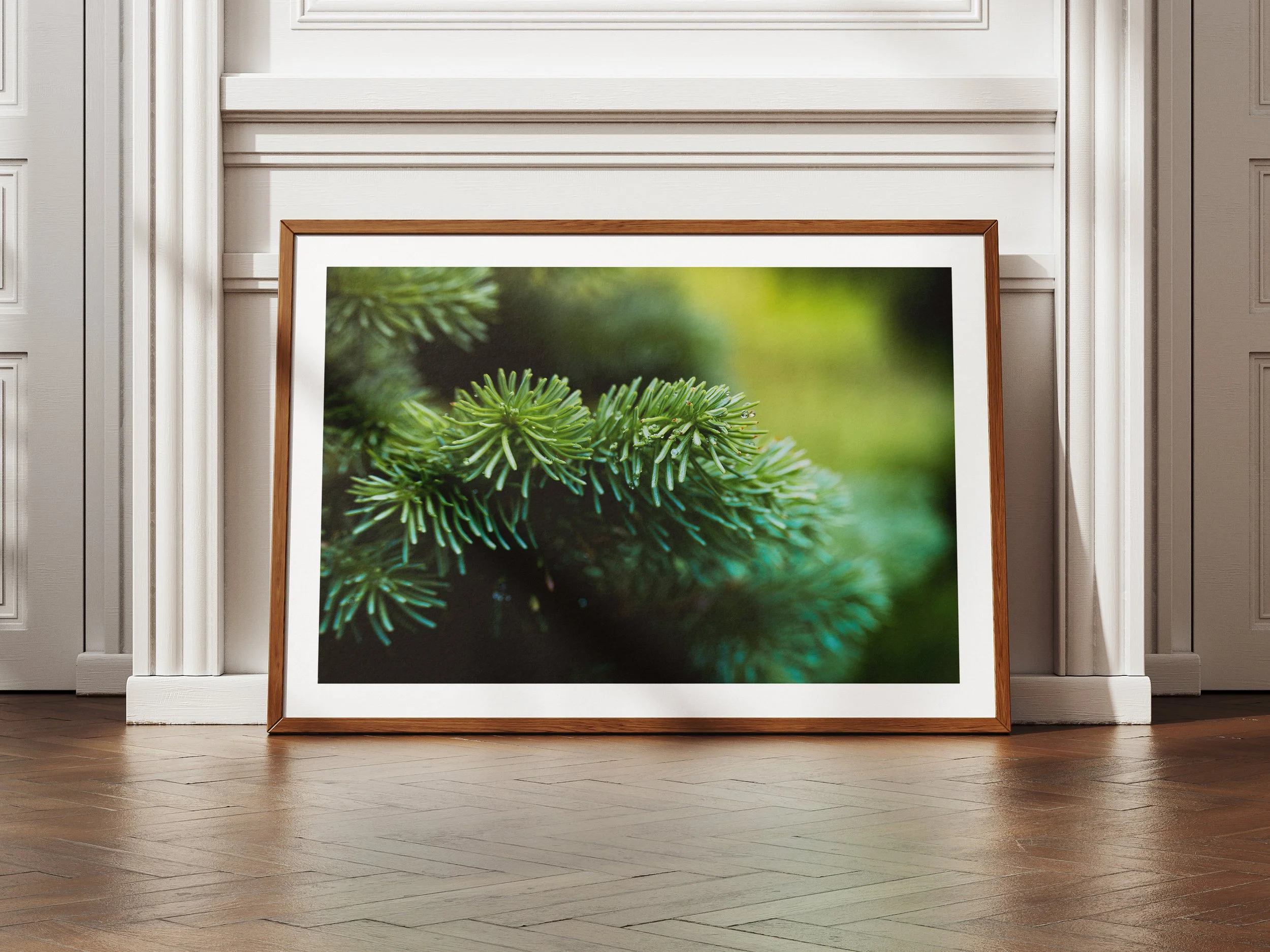 A framed picture of water droplets on a pine tree