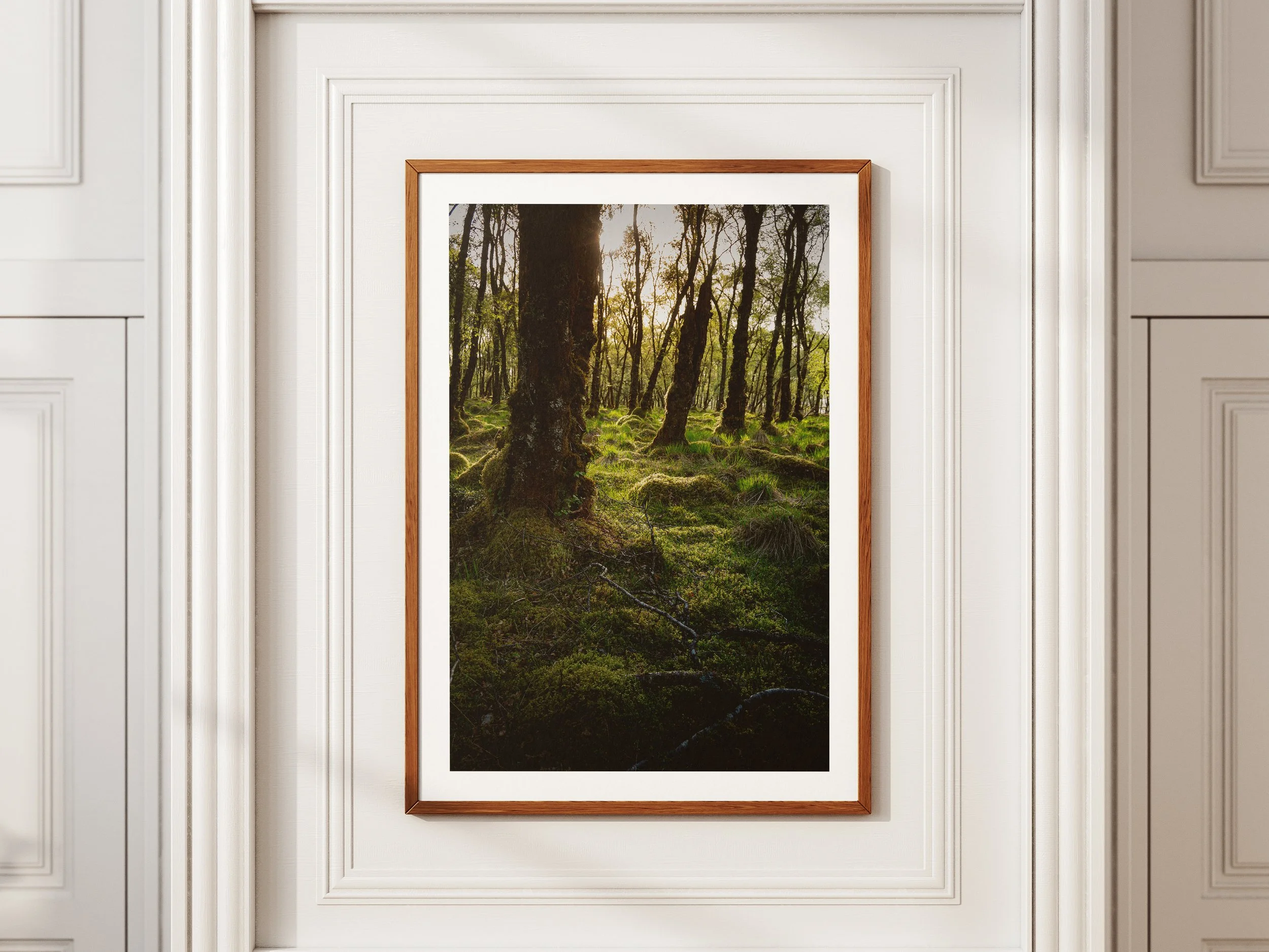 A framed picture of a serene corner of a forest