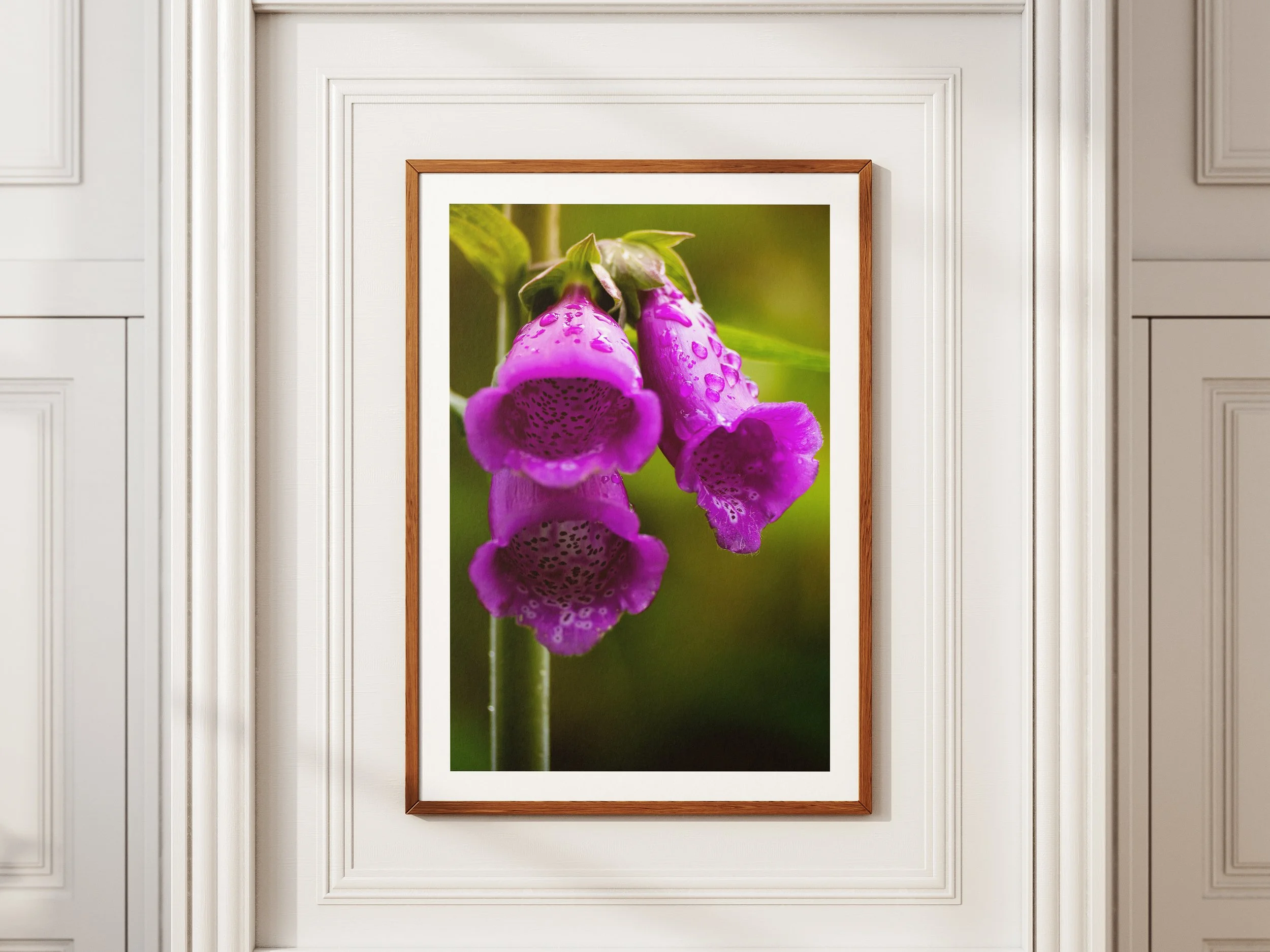 A framed picture of a foxglove covered in water droplets