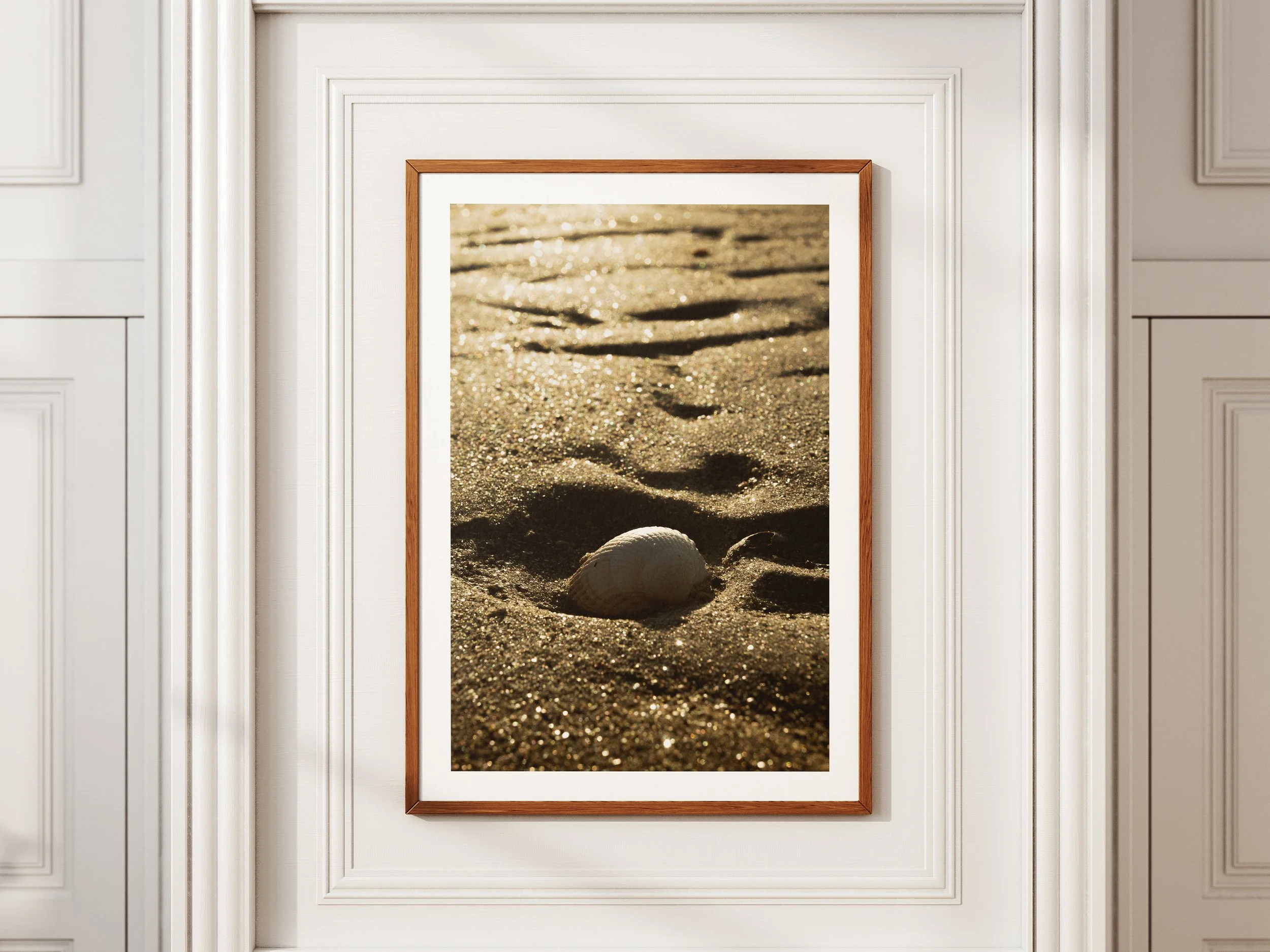 A framed picture of a seashell in the sand lit up by the morning light with sand glistening all around it