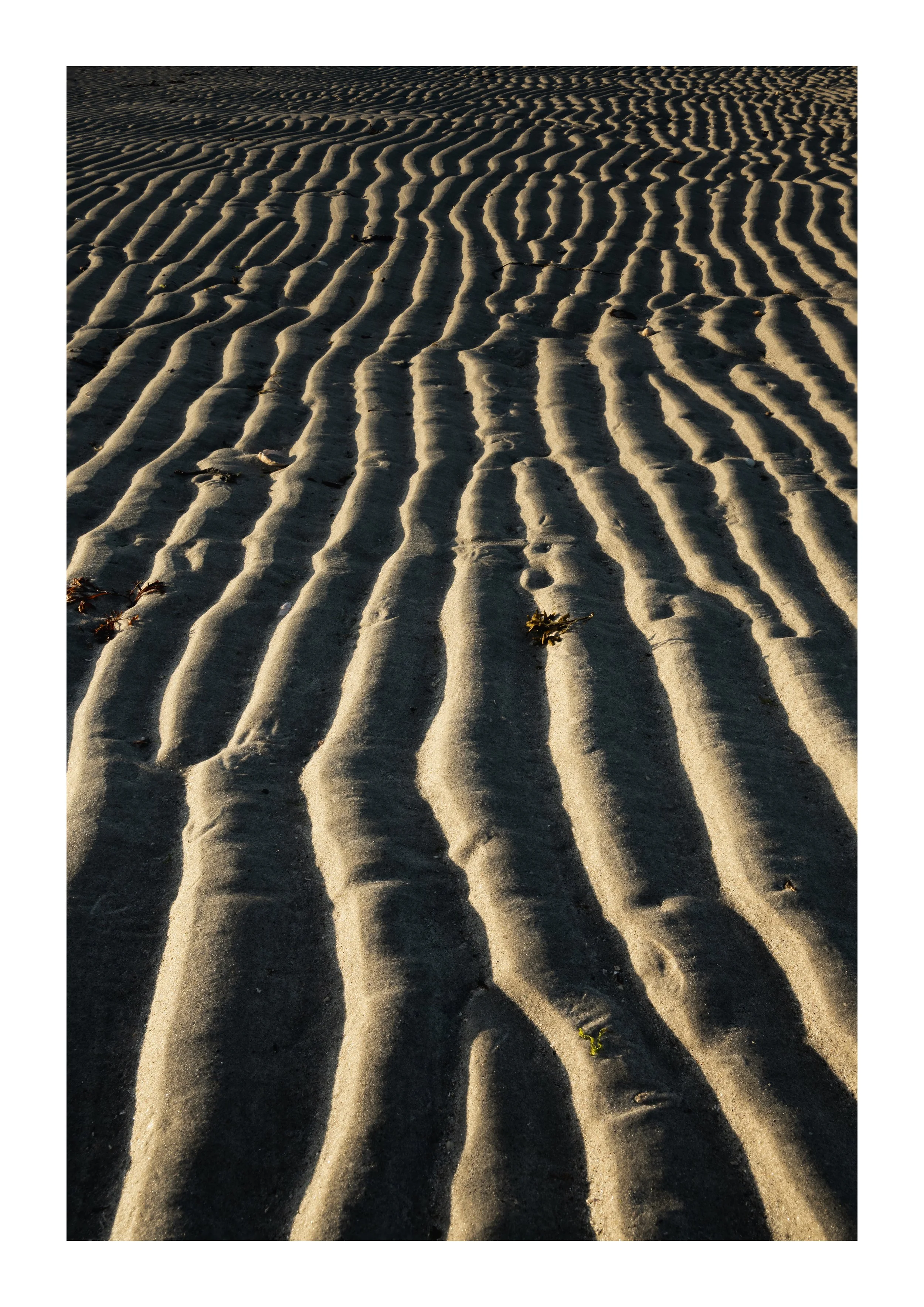 a picture of ripples in the sand