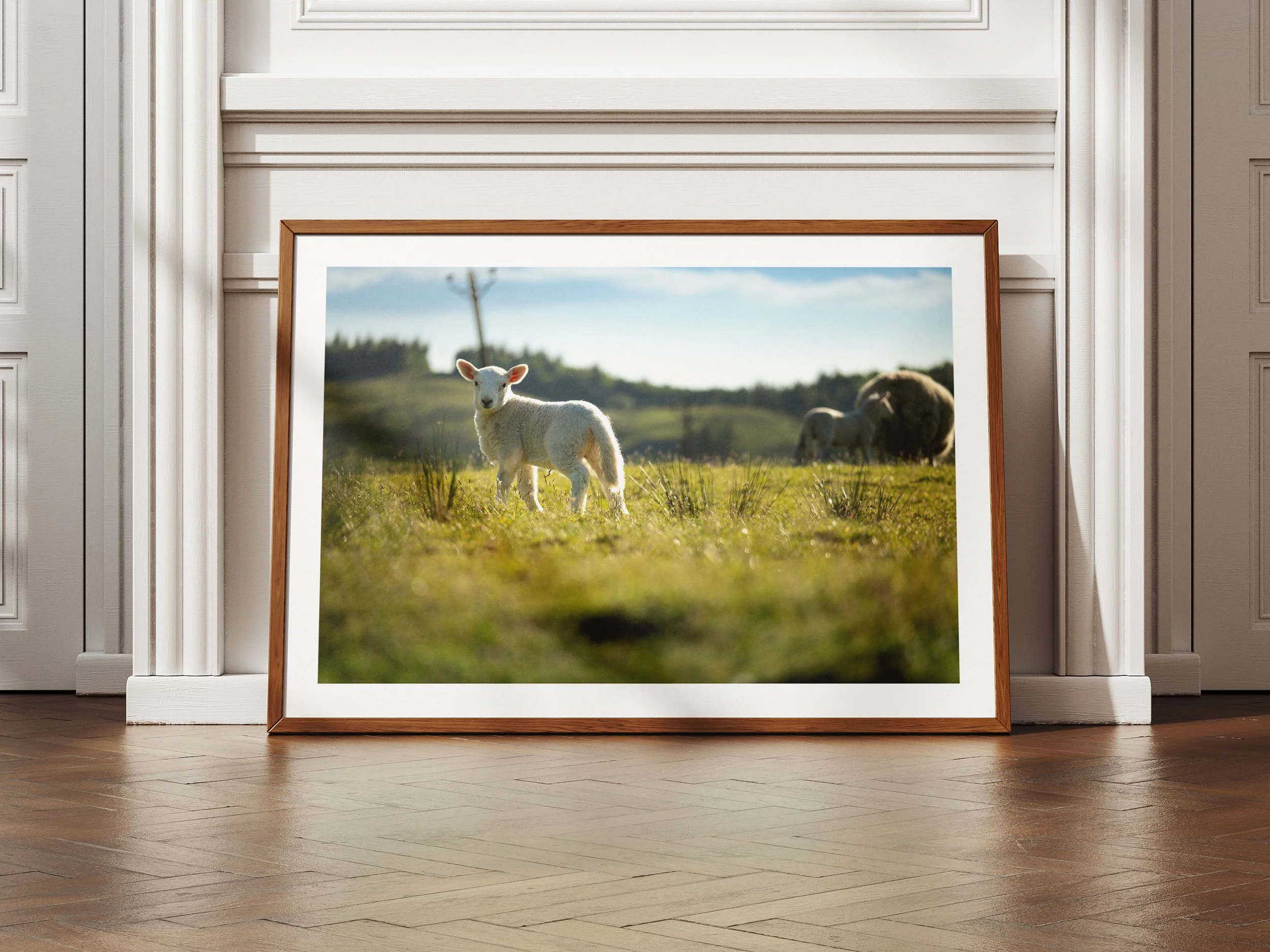 lambs-2-mockup.jpg