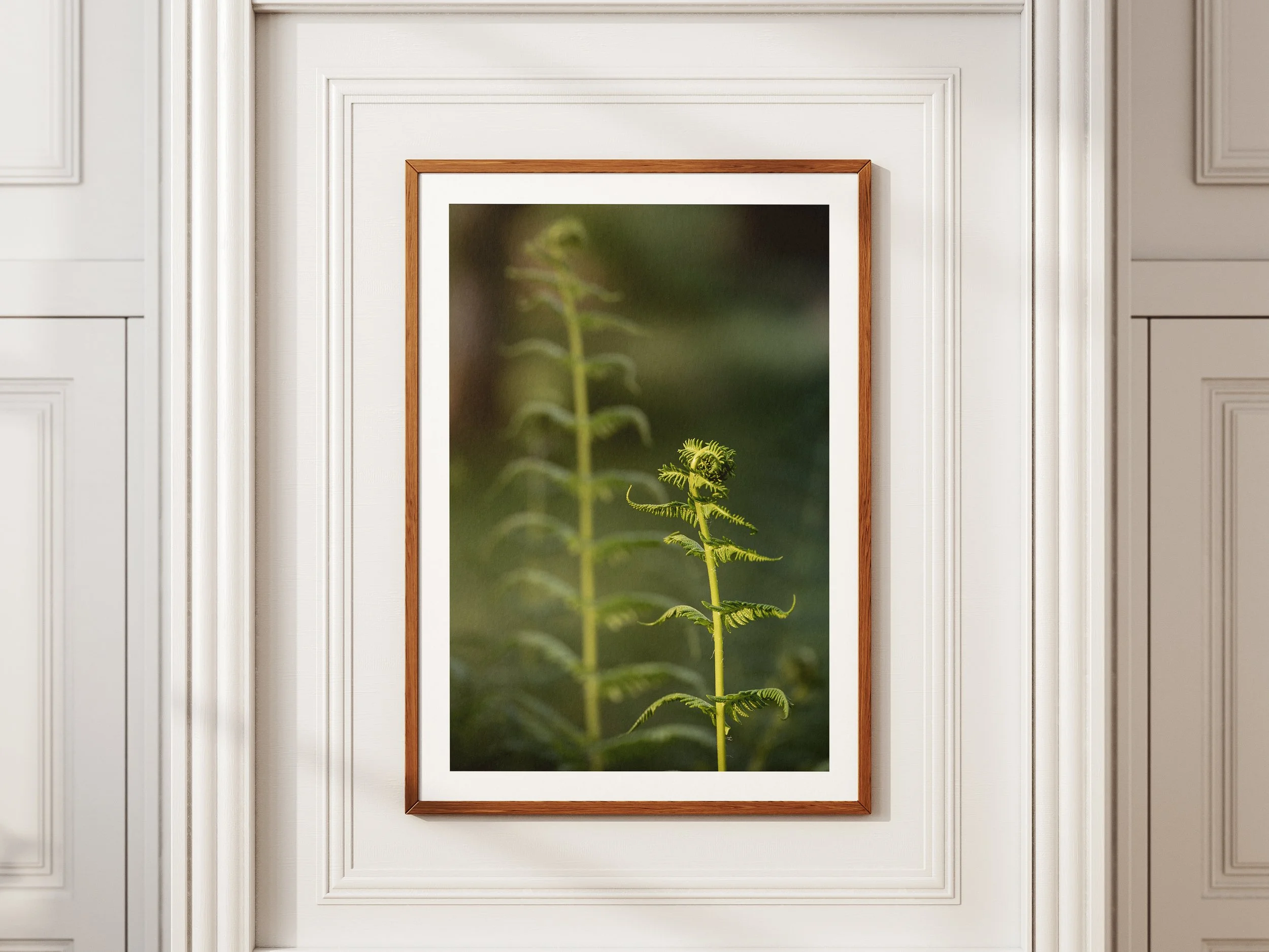 A framed picture of two symmetrical fern leafs