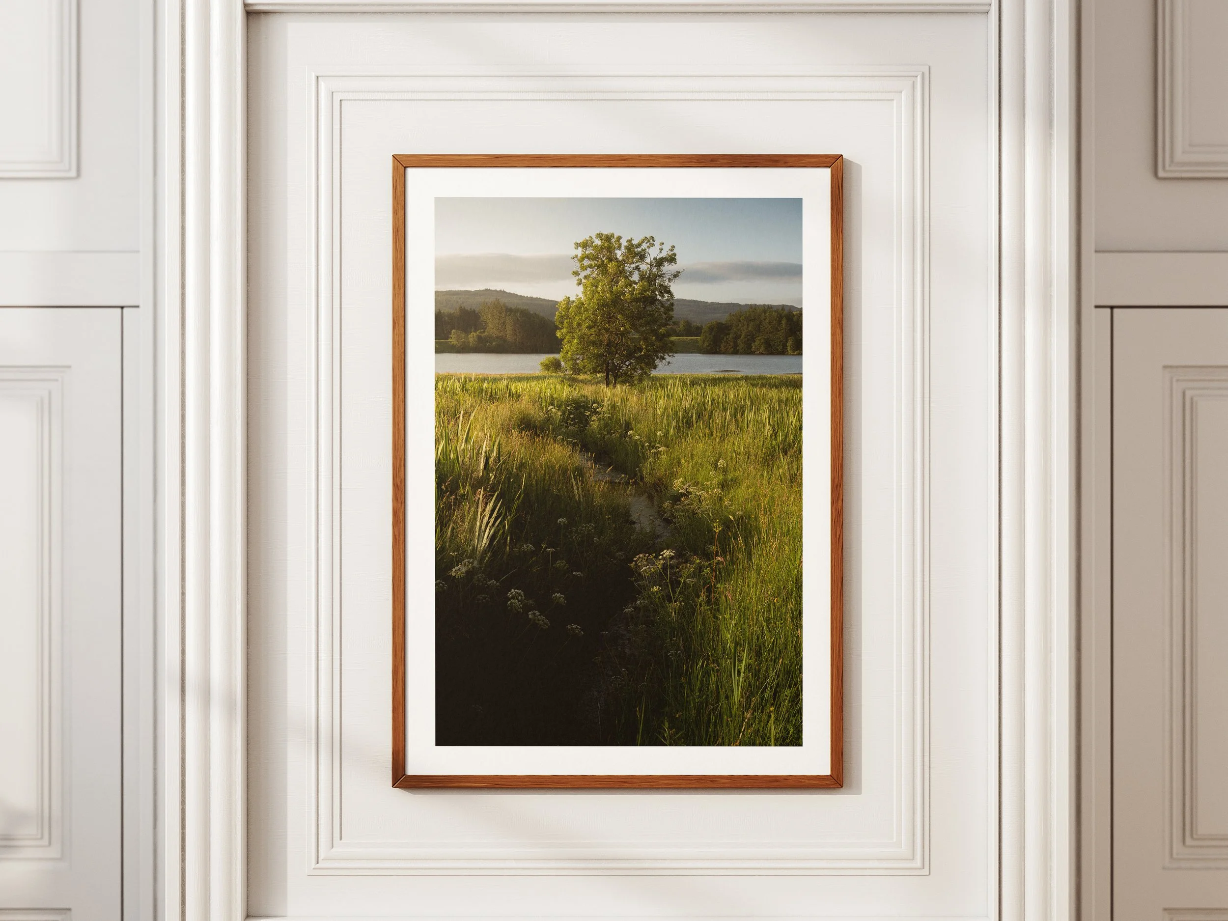 A framed picture of a lone tree against a loch with a winding stream in the foreground