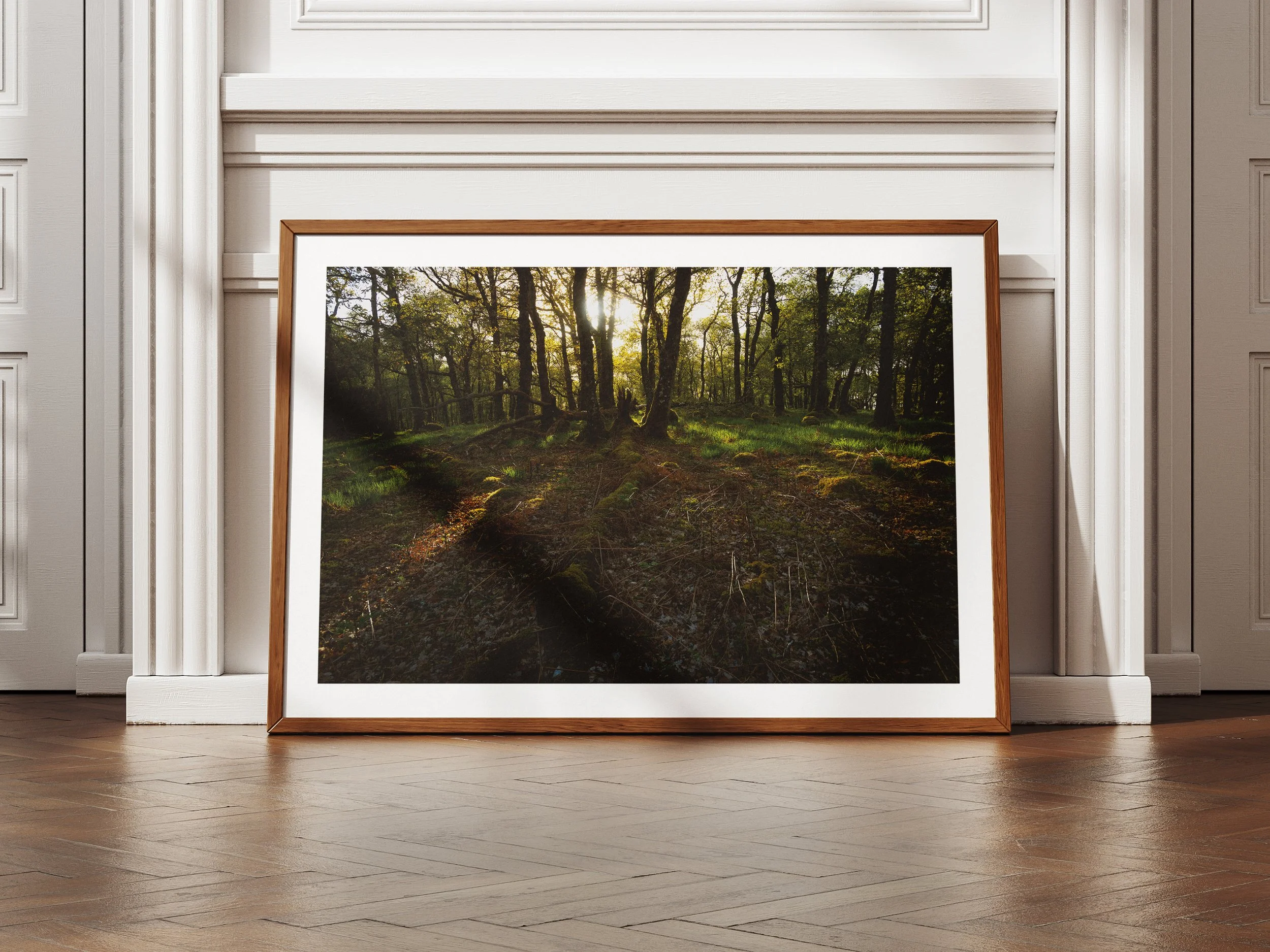light-through-the-trees-mockupt.jpg