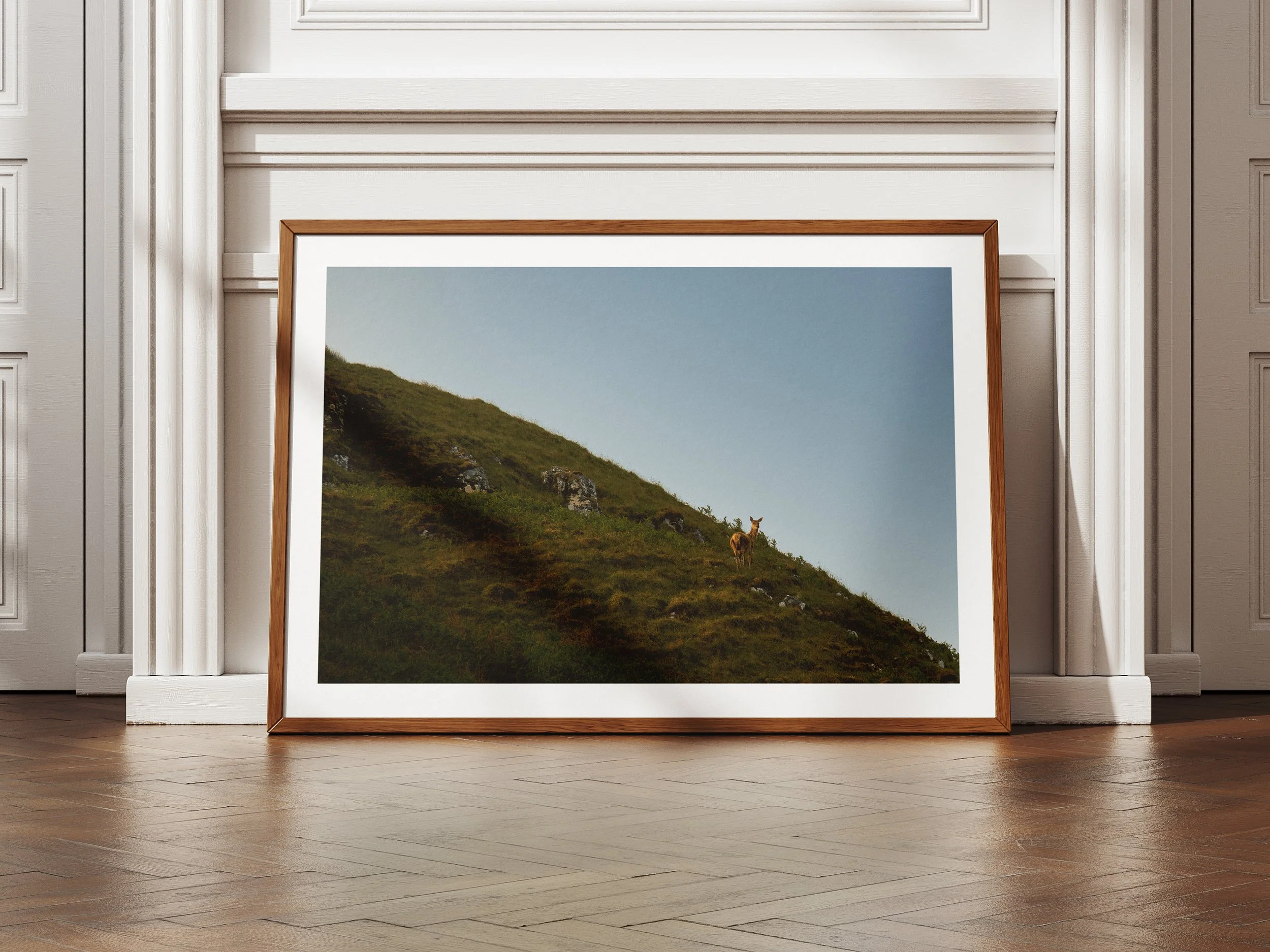 A framed picture of a deer overlooking a glen